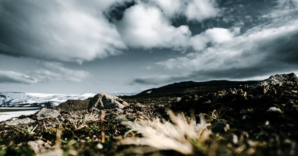 un campo de hierba y rocas bajo un cielo nublado