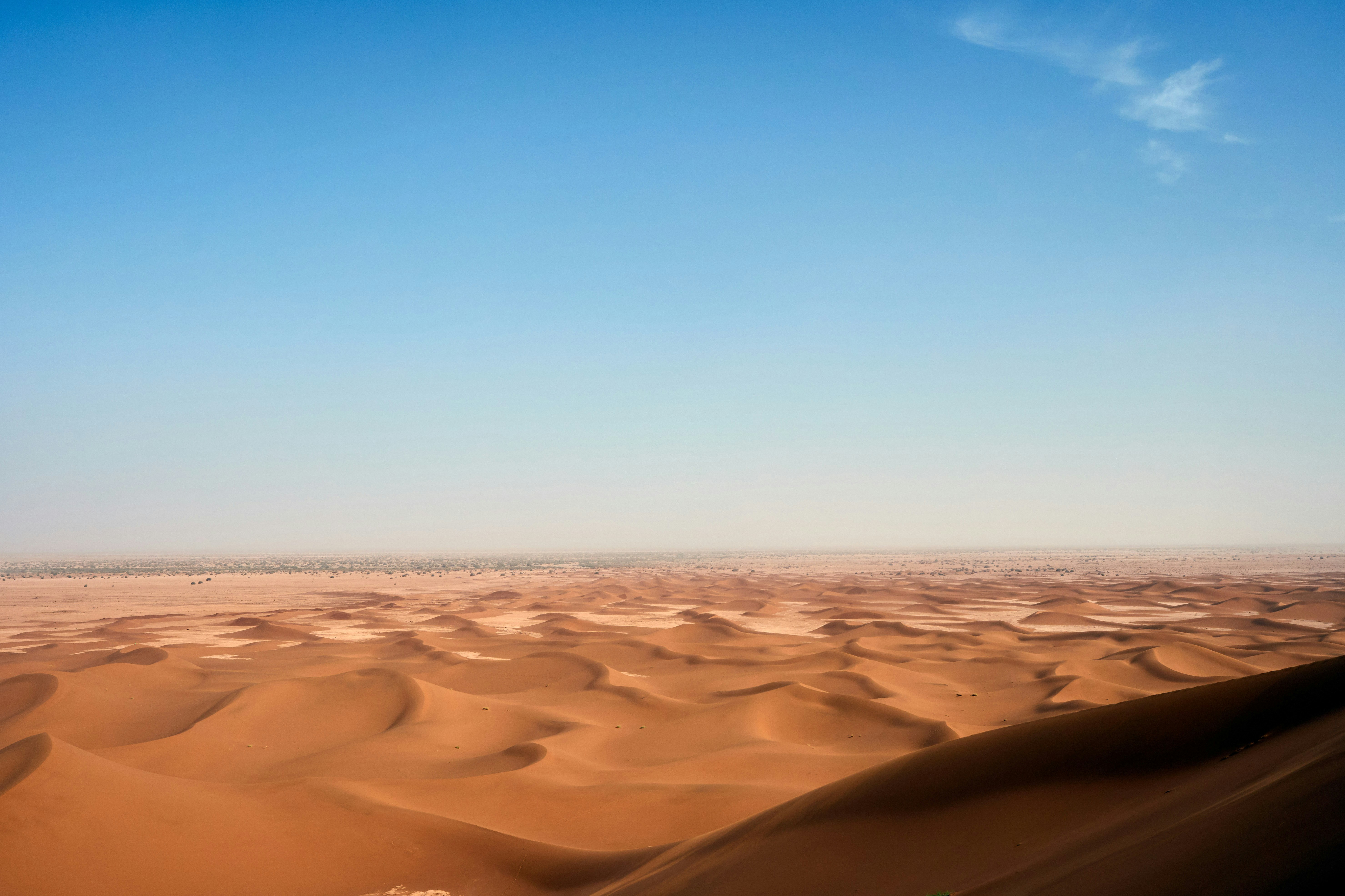 Photo by wolfgang_hasselmann