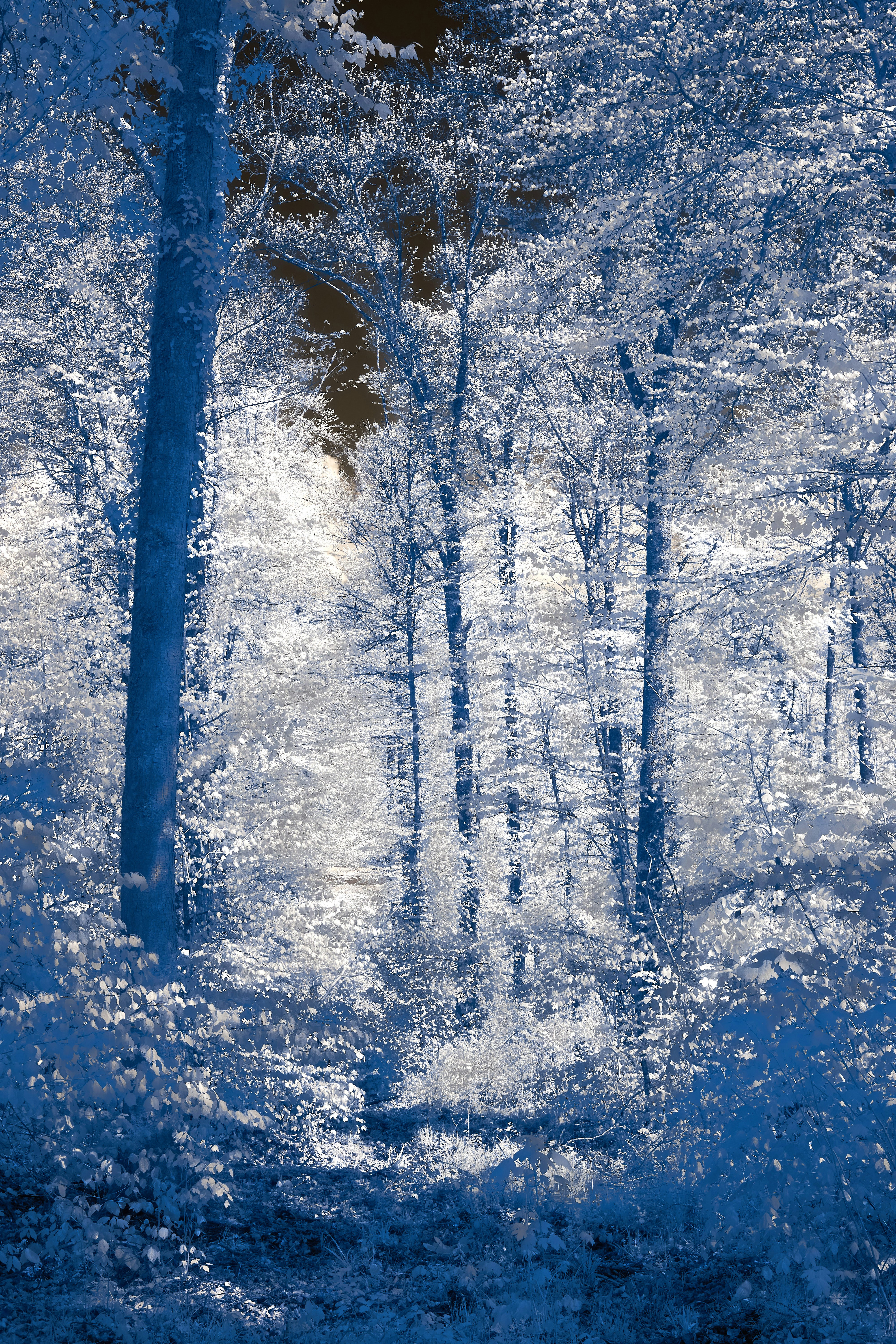 Photo by wolfgang_hasselmann