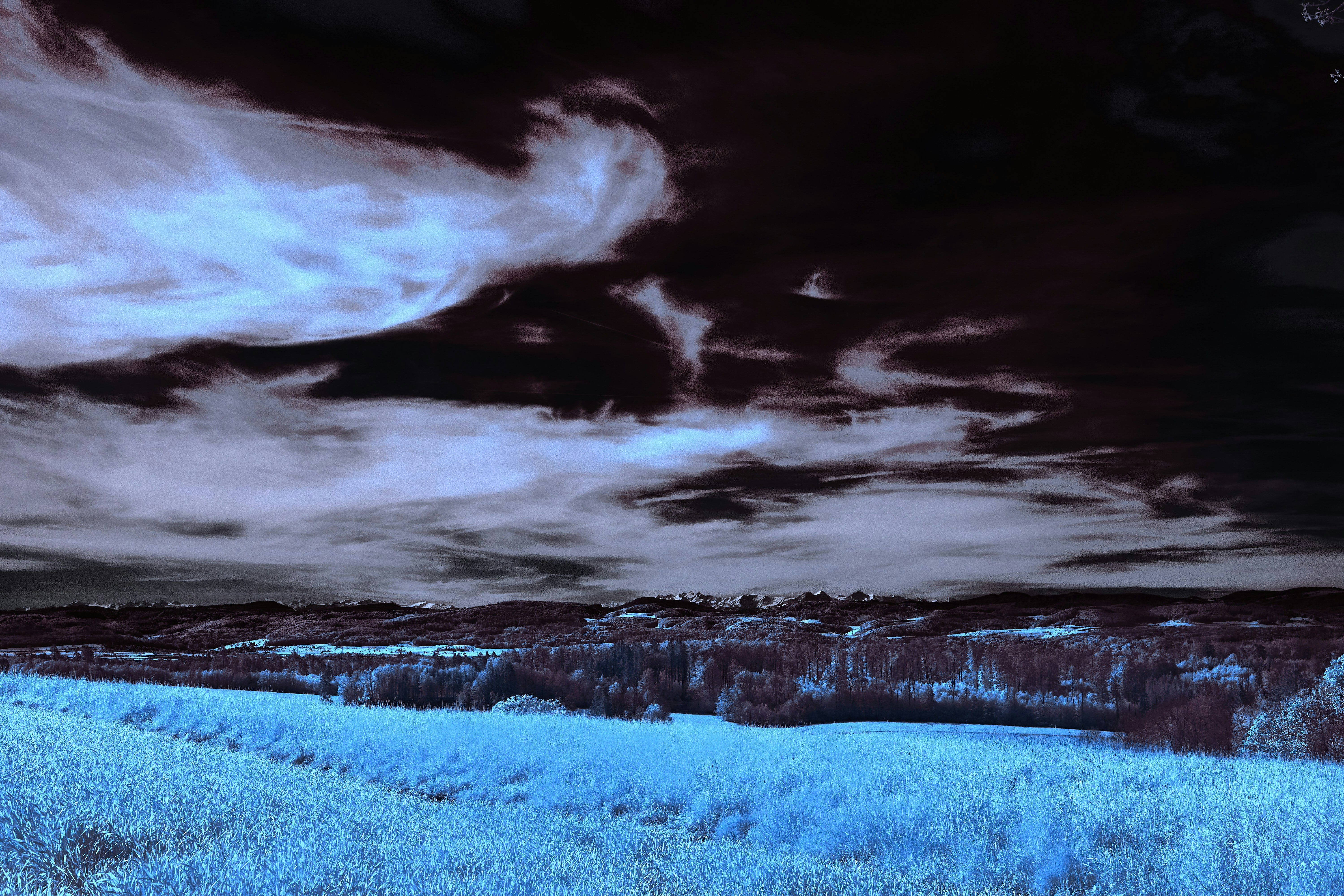 Photo by wolfgang_hasselmann