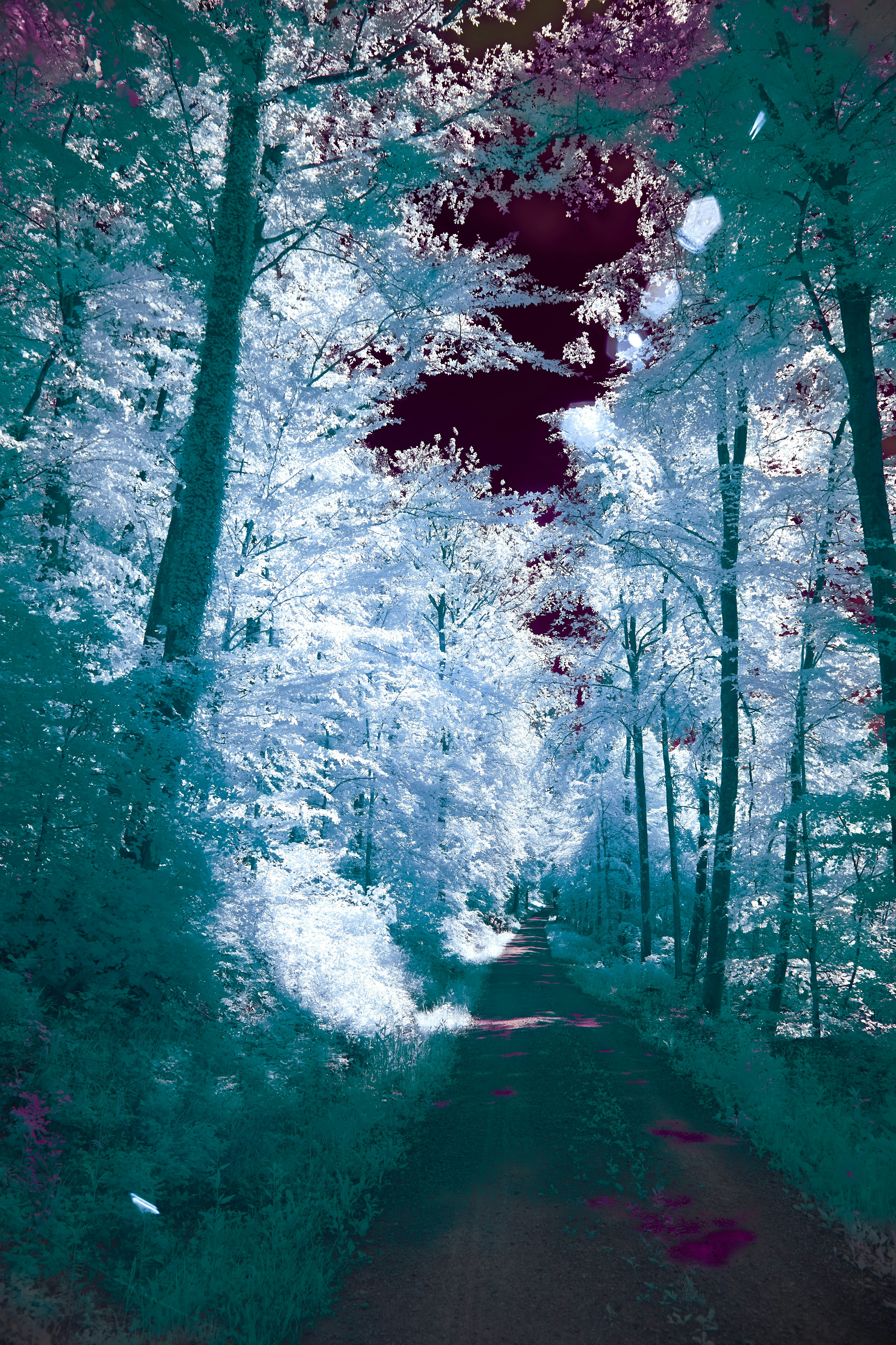 Photo by wolfgang_hasselmann