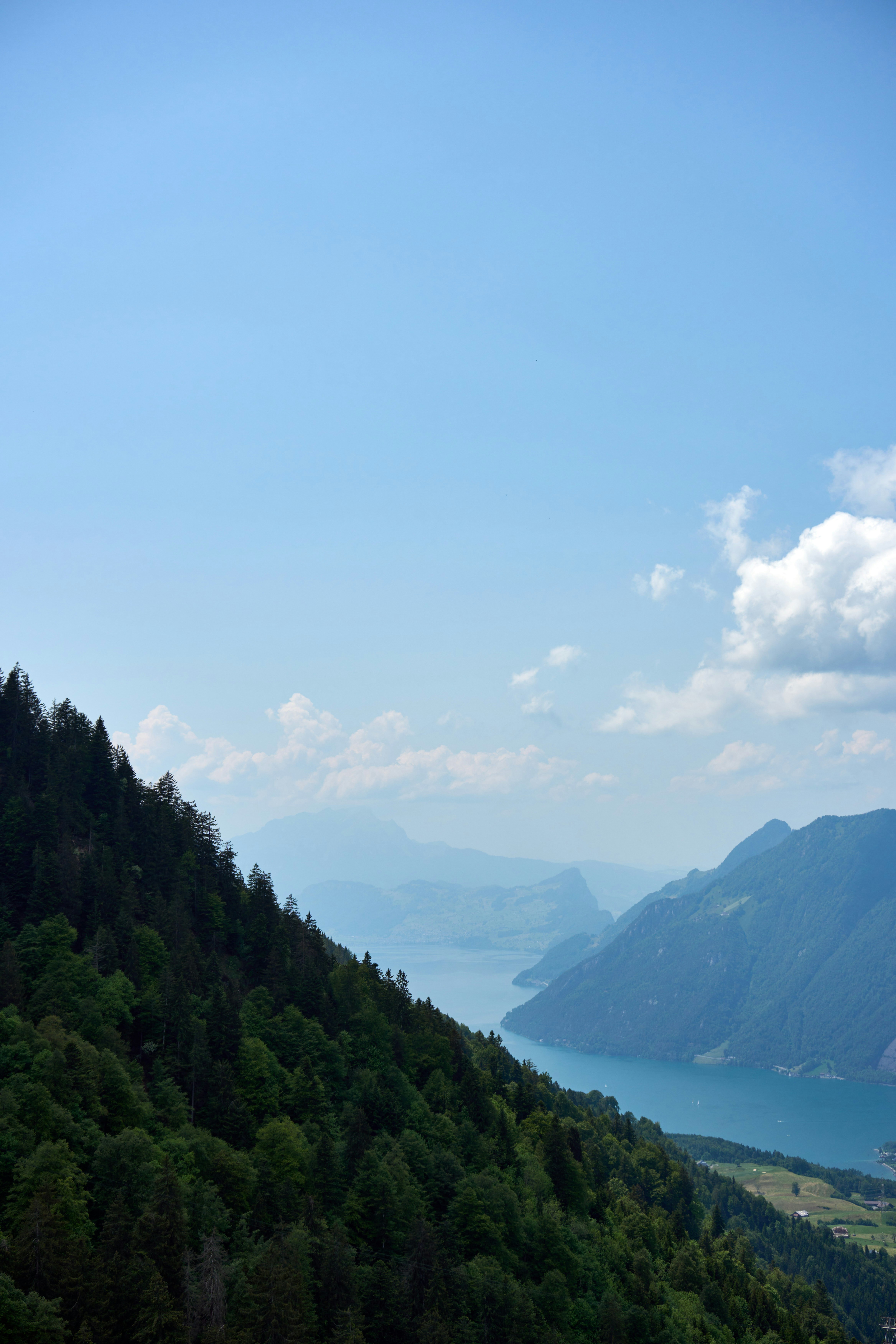 Photo by wolfgang_hasselmann