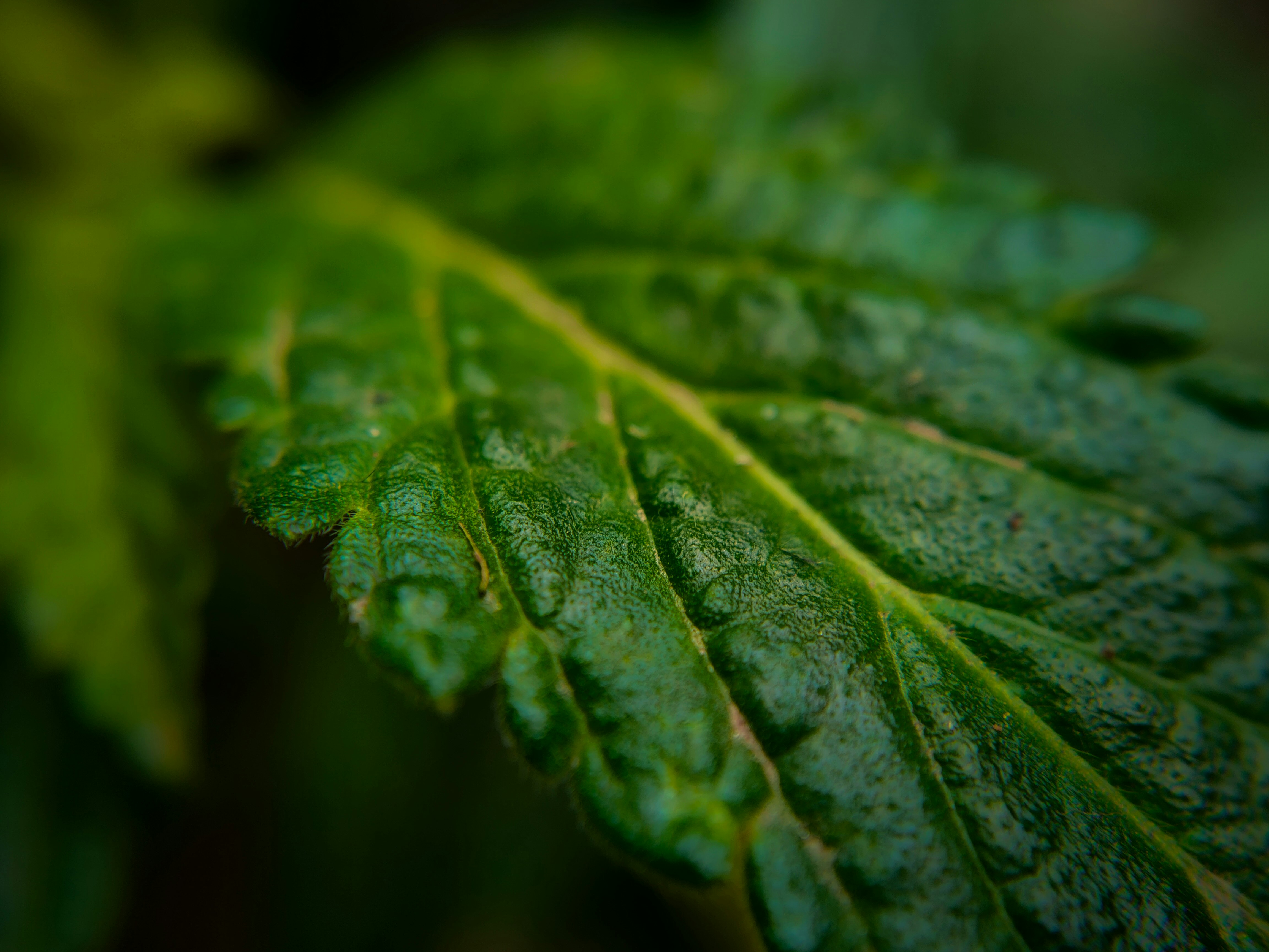 Photo by sujaypaulsp