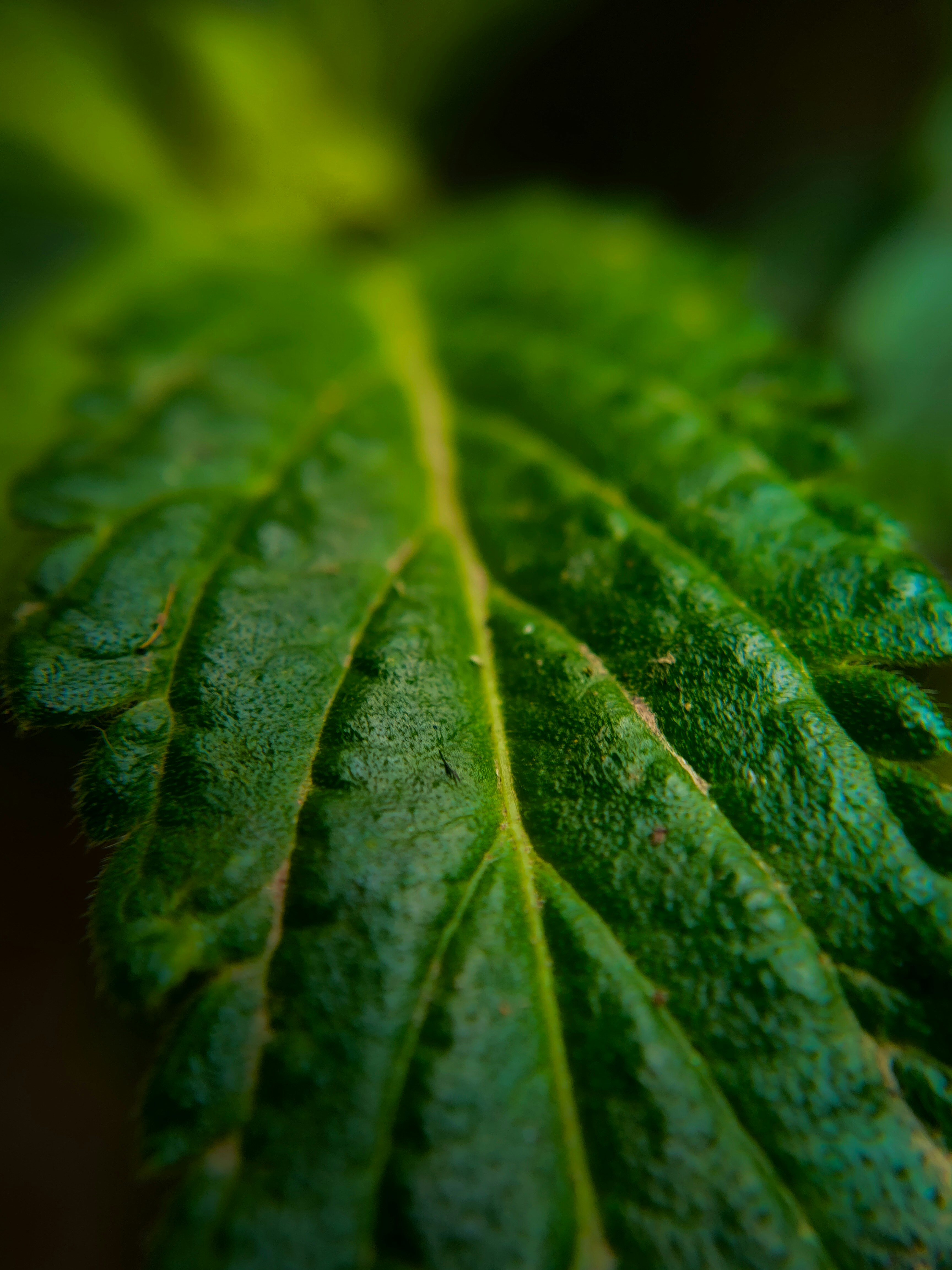 Photo by sujaypaulsp