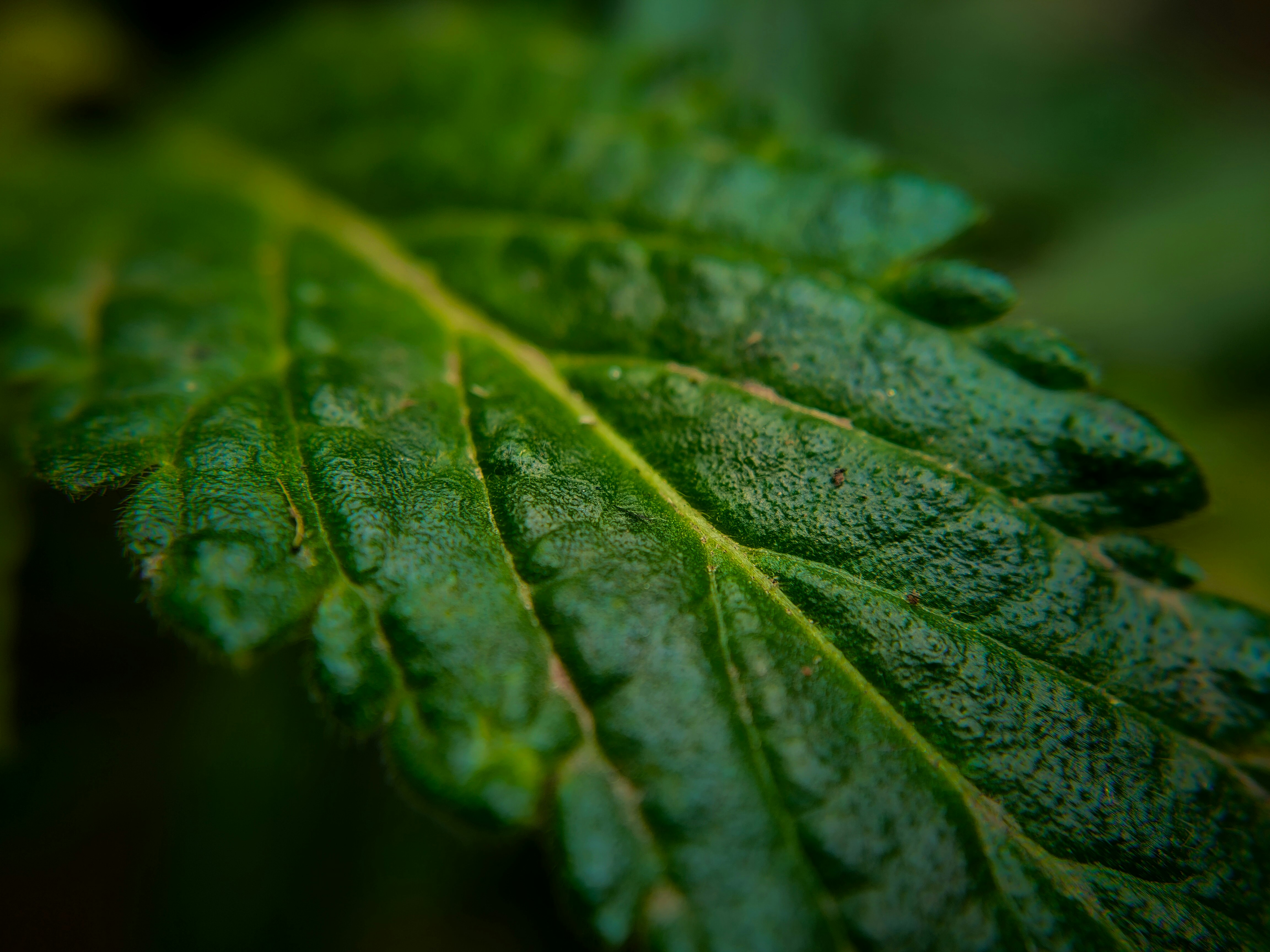 Photo by sujaypaulsp