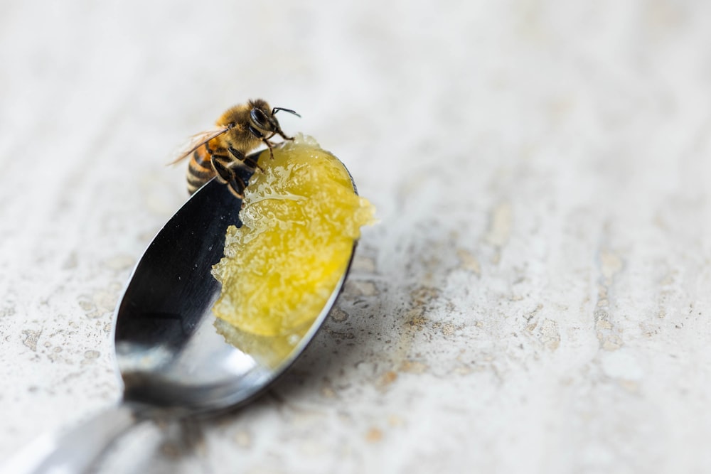 a close up of a spoon with a honey on it