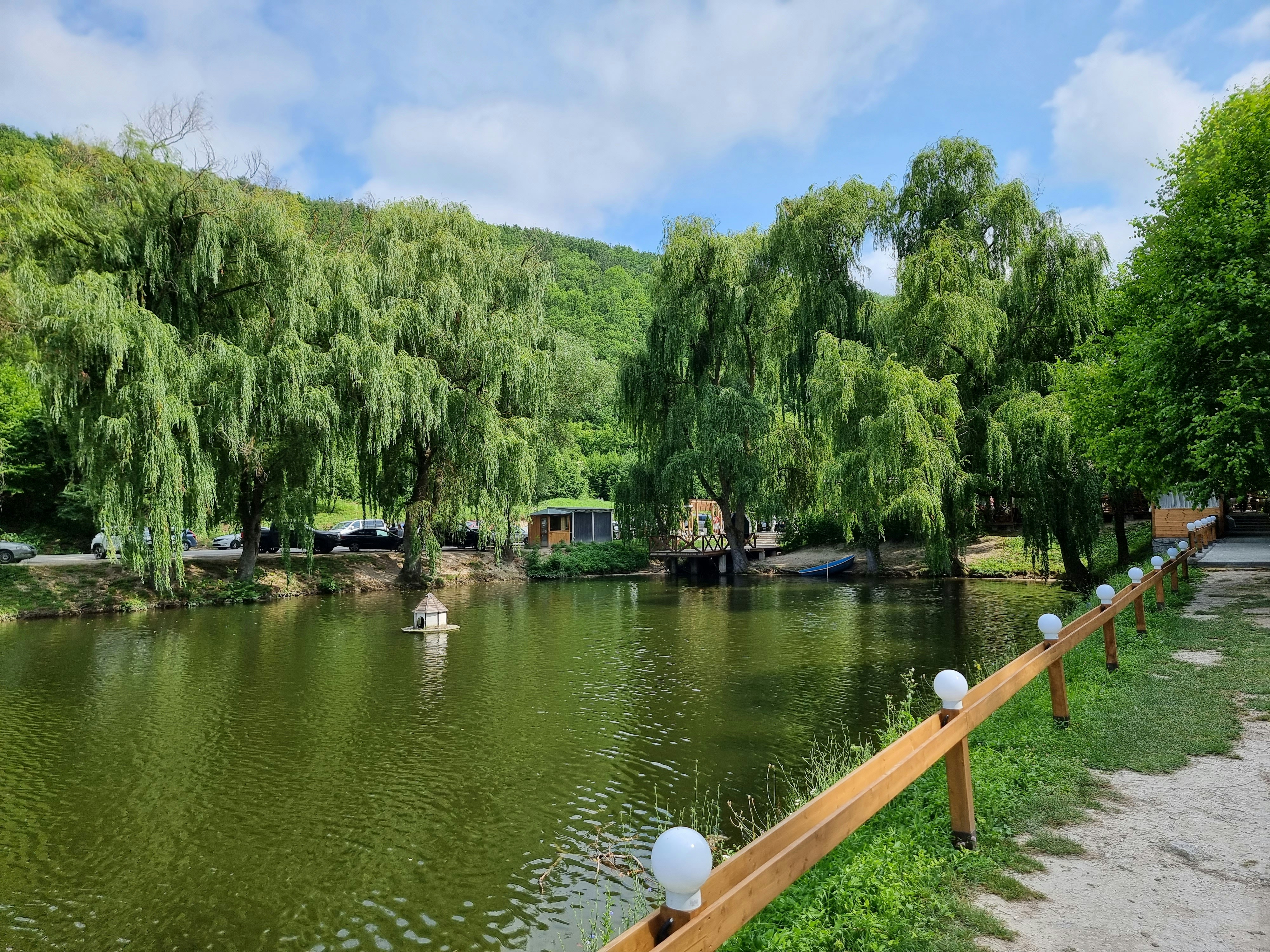 a river with a wooden fence next to it