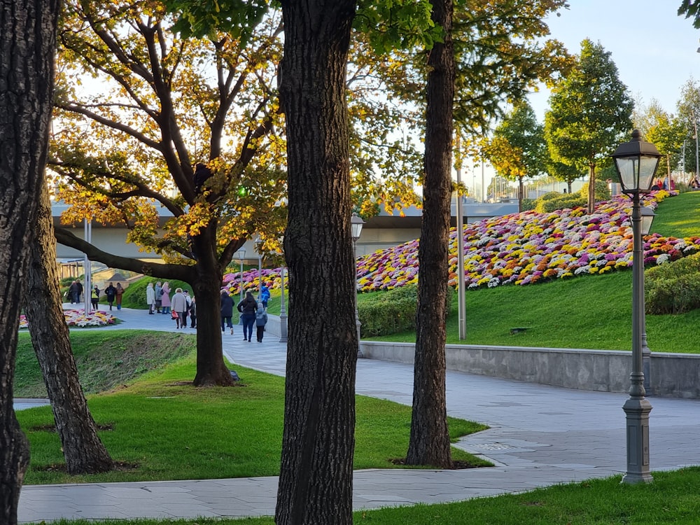 a group of people walking down a sidewalk next to trees