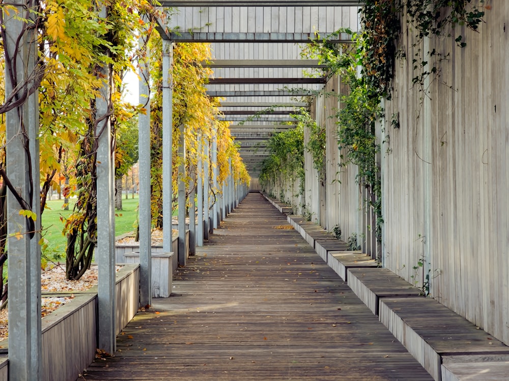 a wooden walkway lined with trees and plants