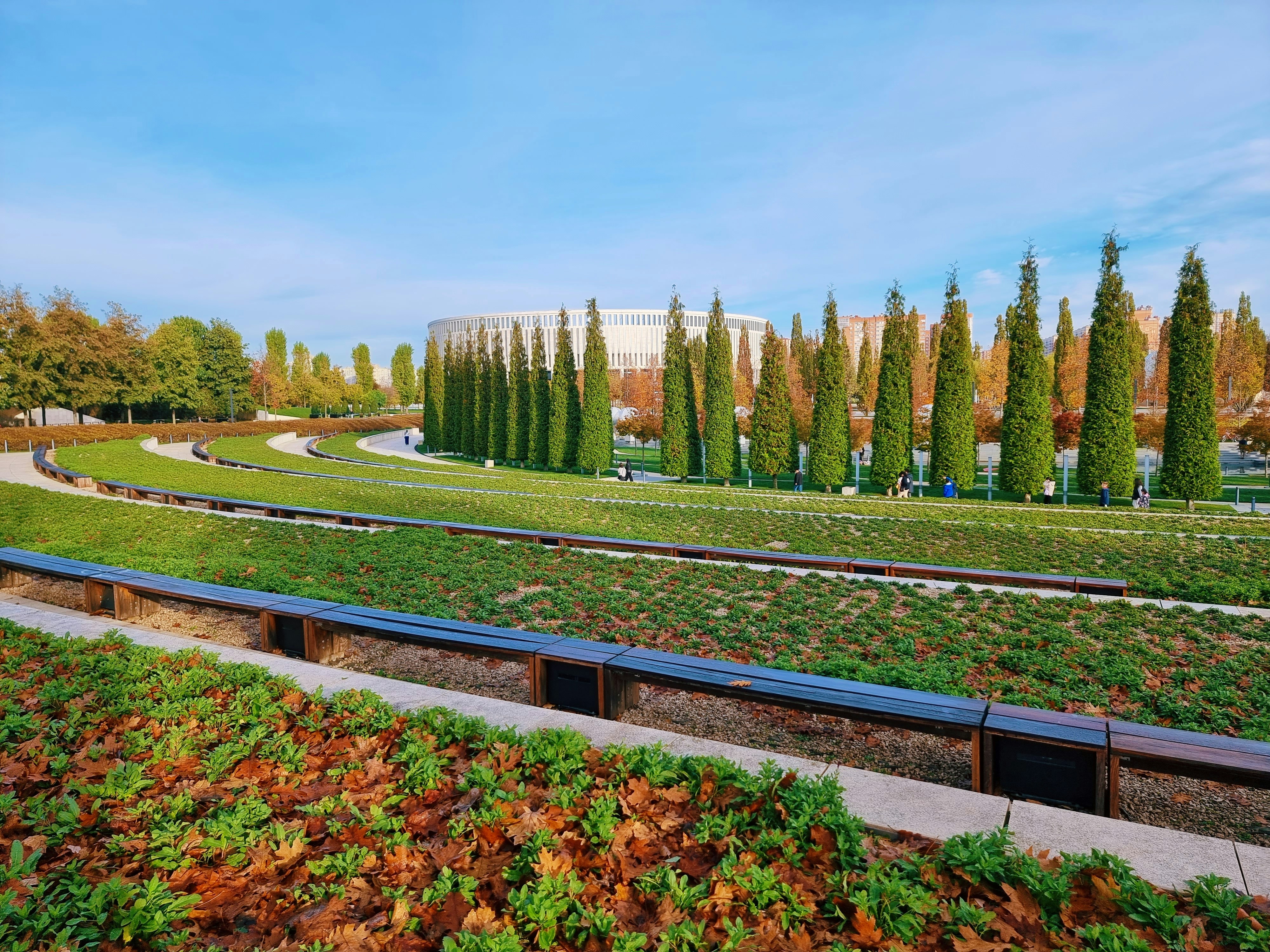 a row of benches sitting next to a lush green park