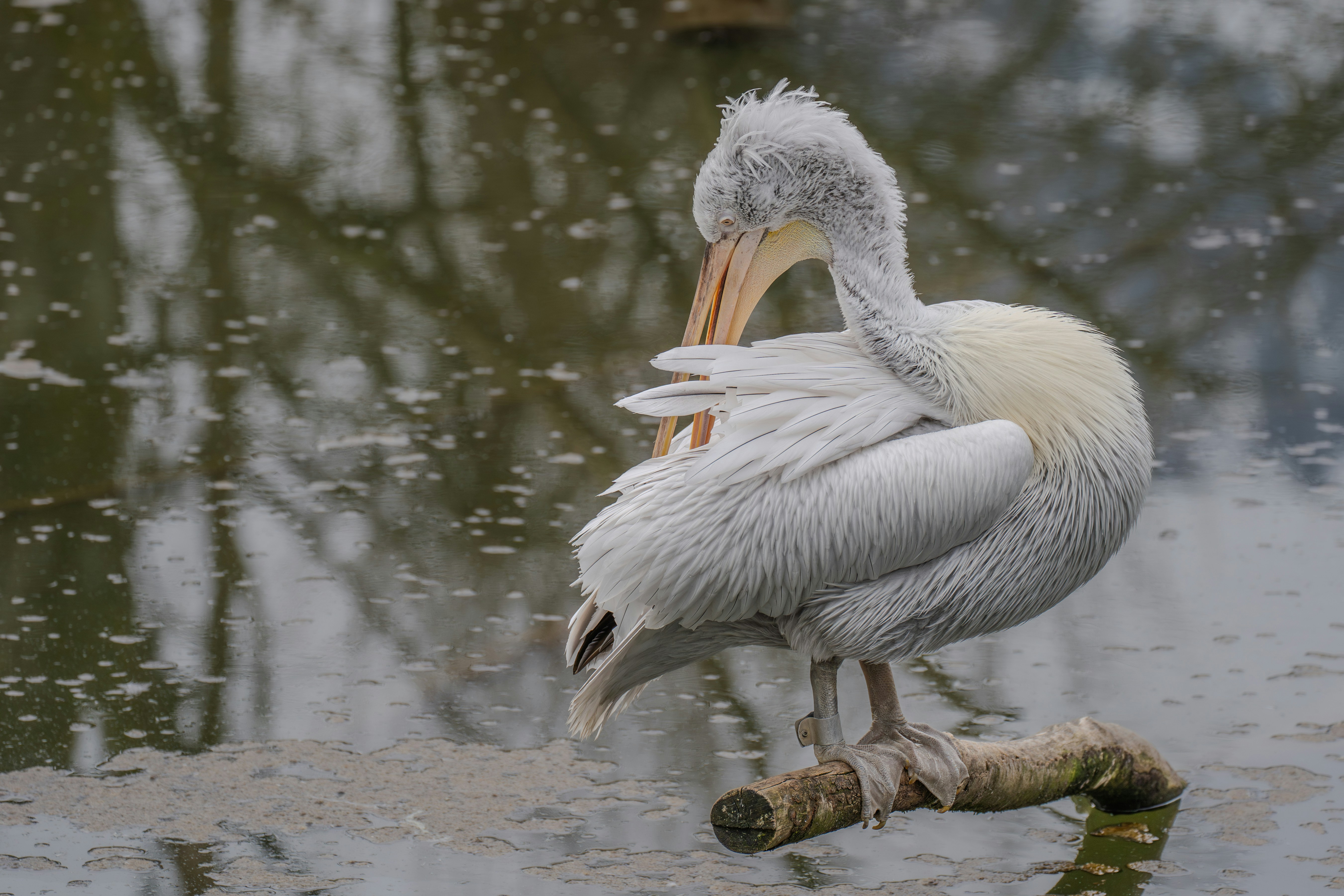 Photo by christelsphotos