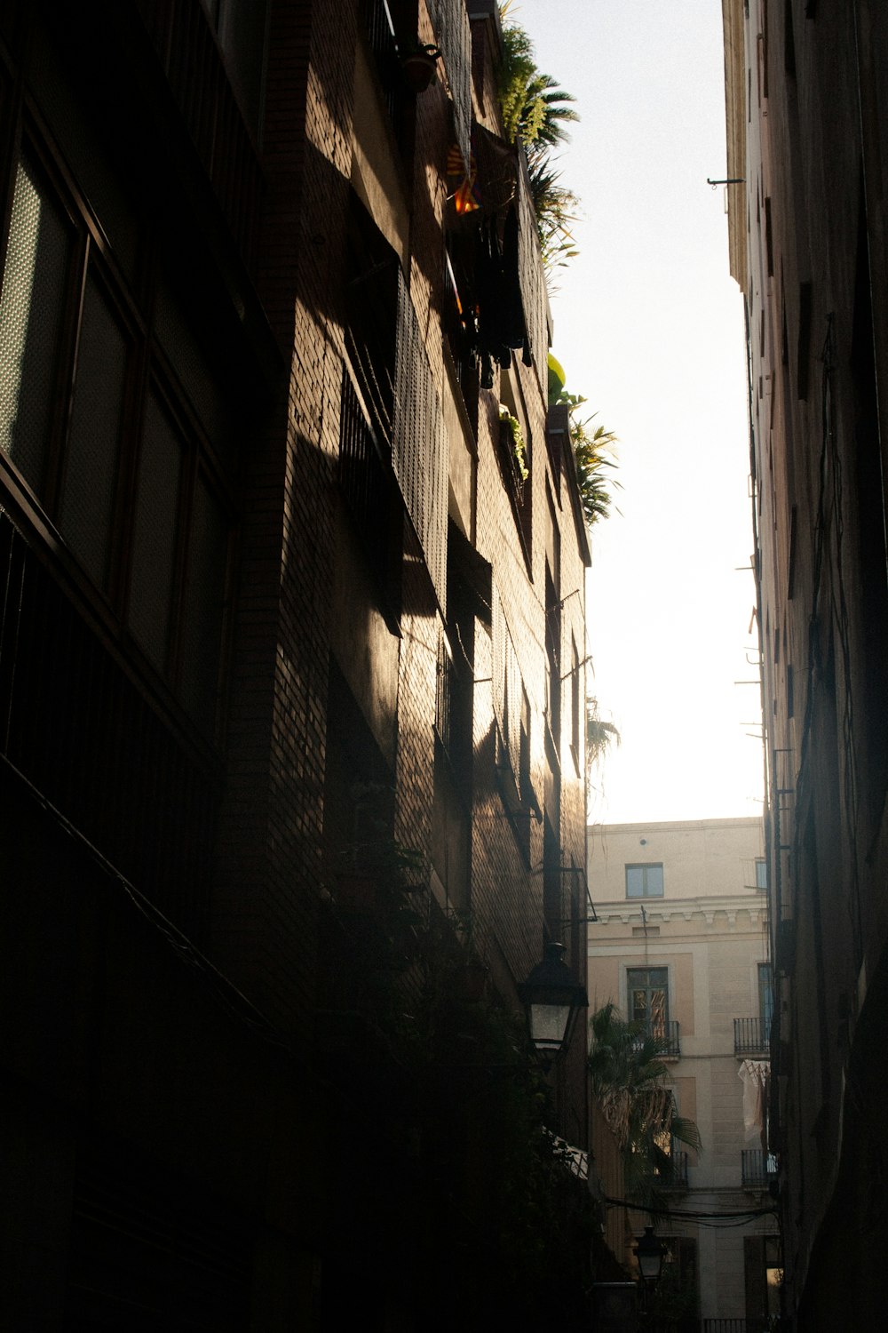 a narrow alley way with a building and palm trees