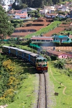 a train traveling through a lush green countryside