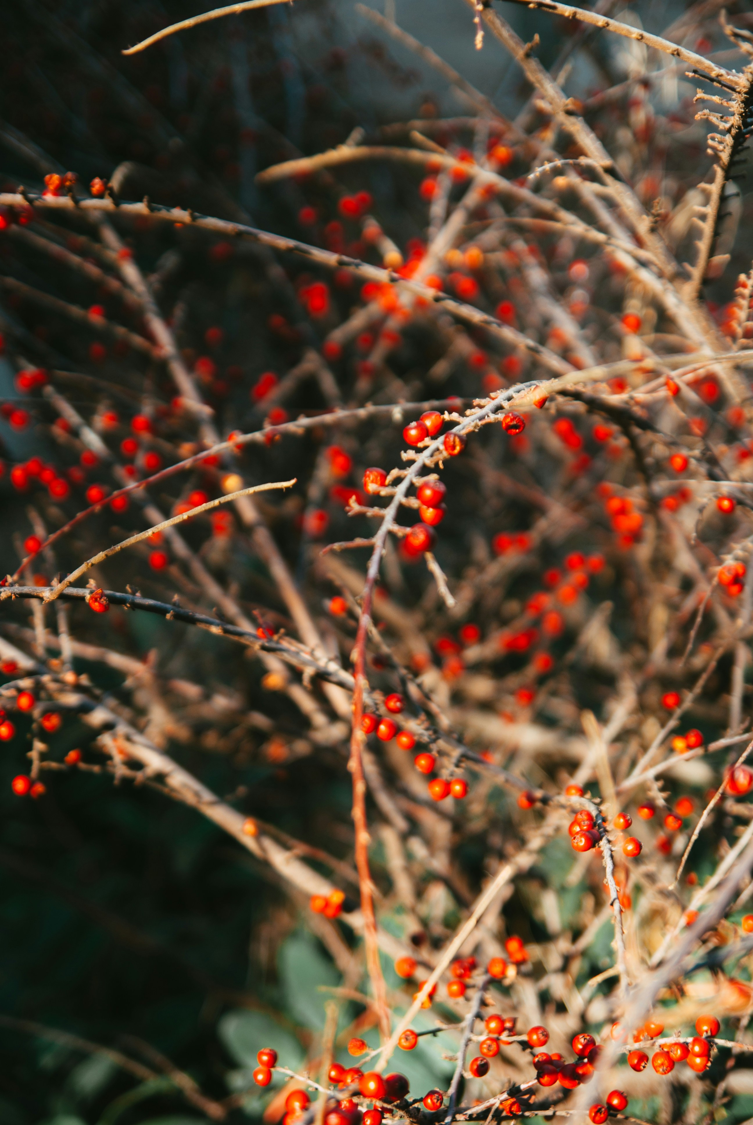 Photo by moonmoons_days