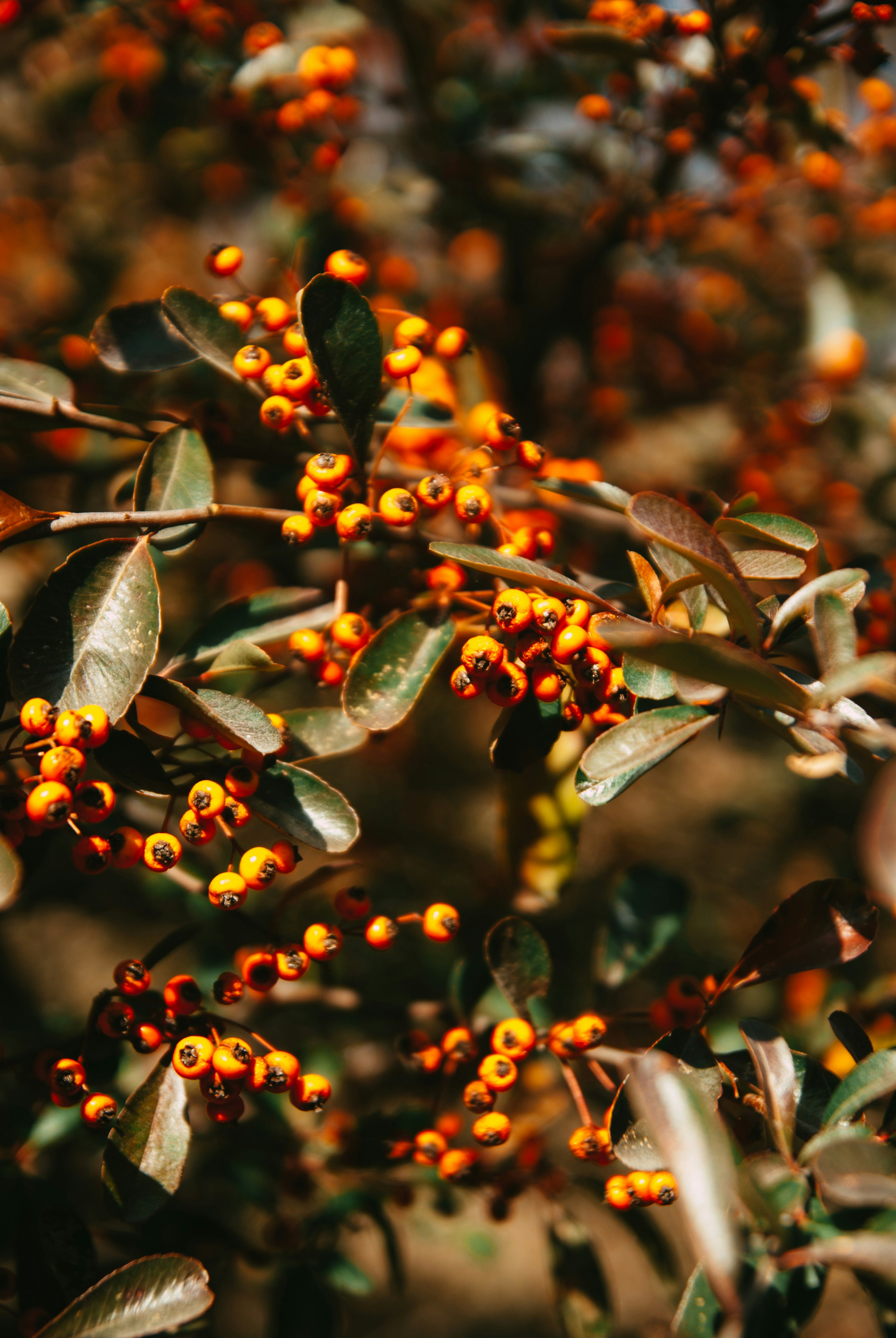 Photo by moonmoons_days