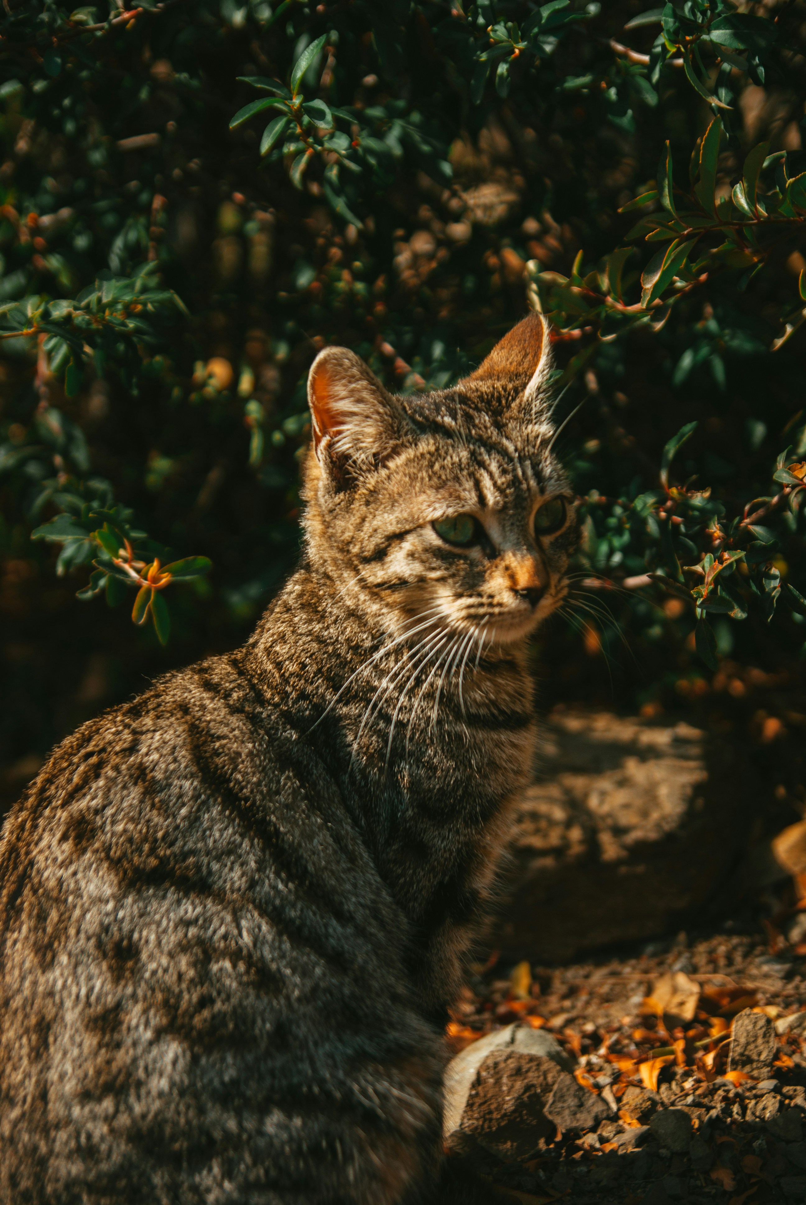 Photo by moonmoons_days