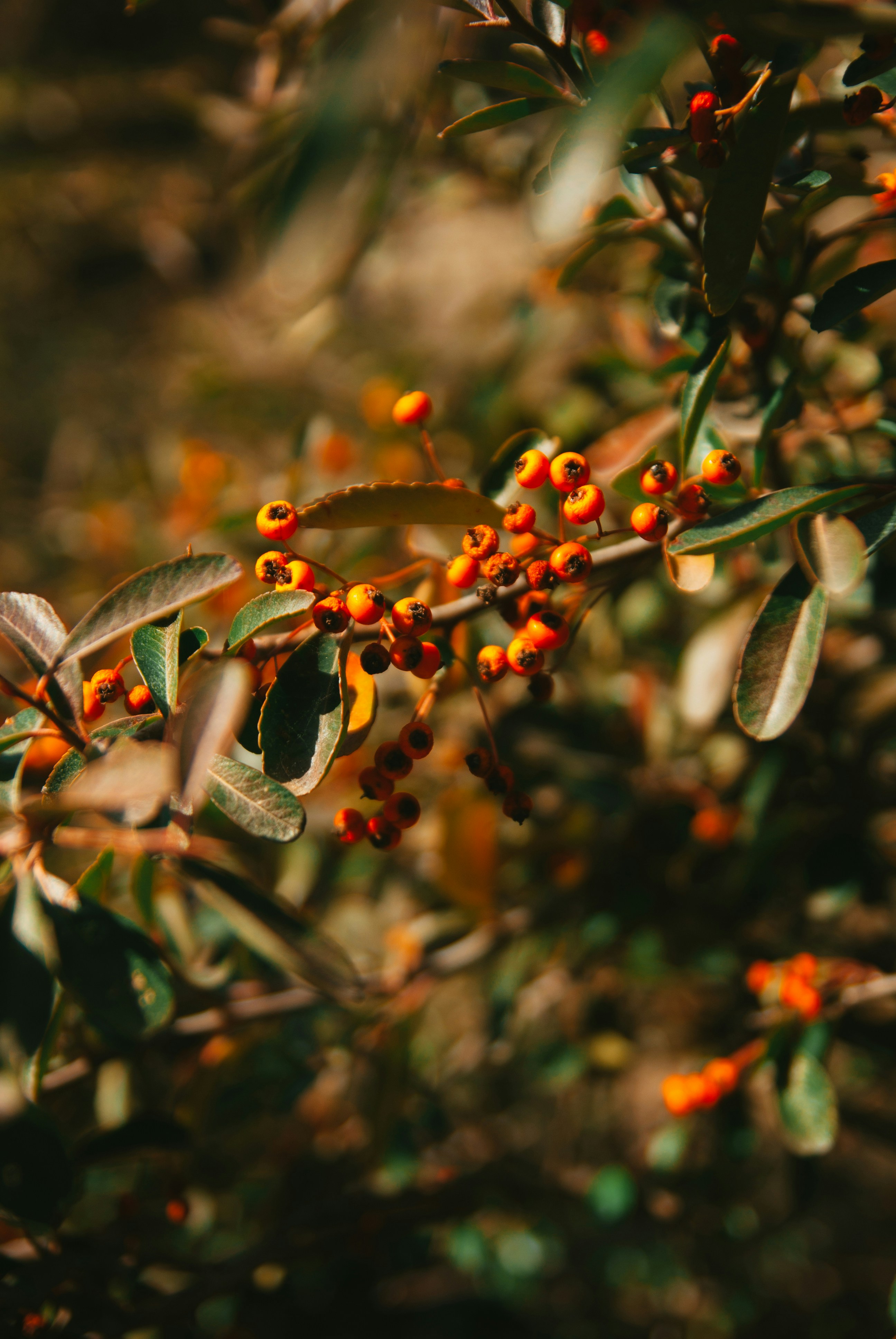 Photo by moonmoons_days