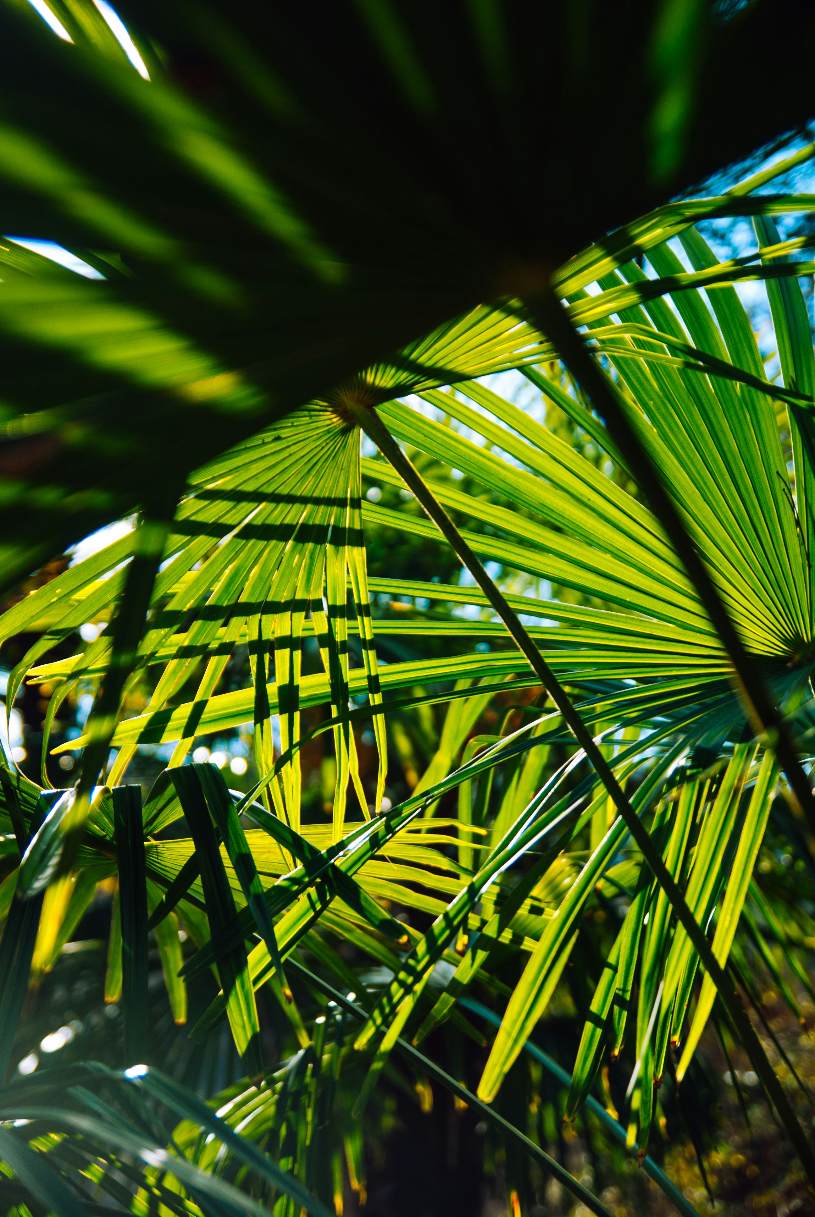 Photo by moonmoons_days