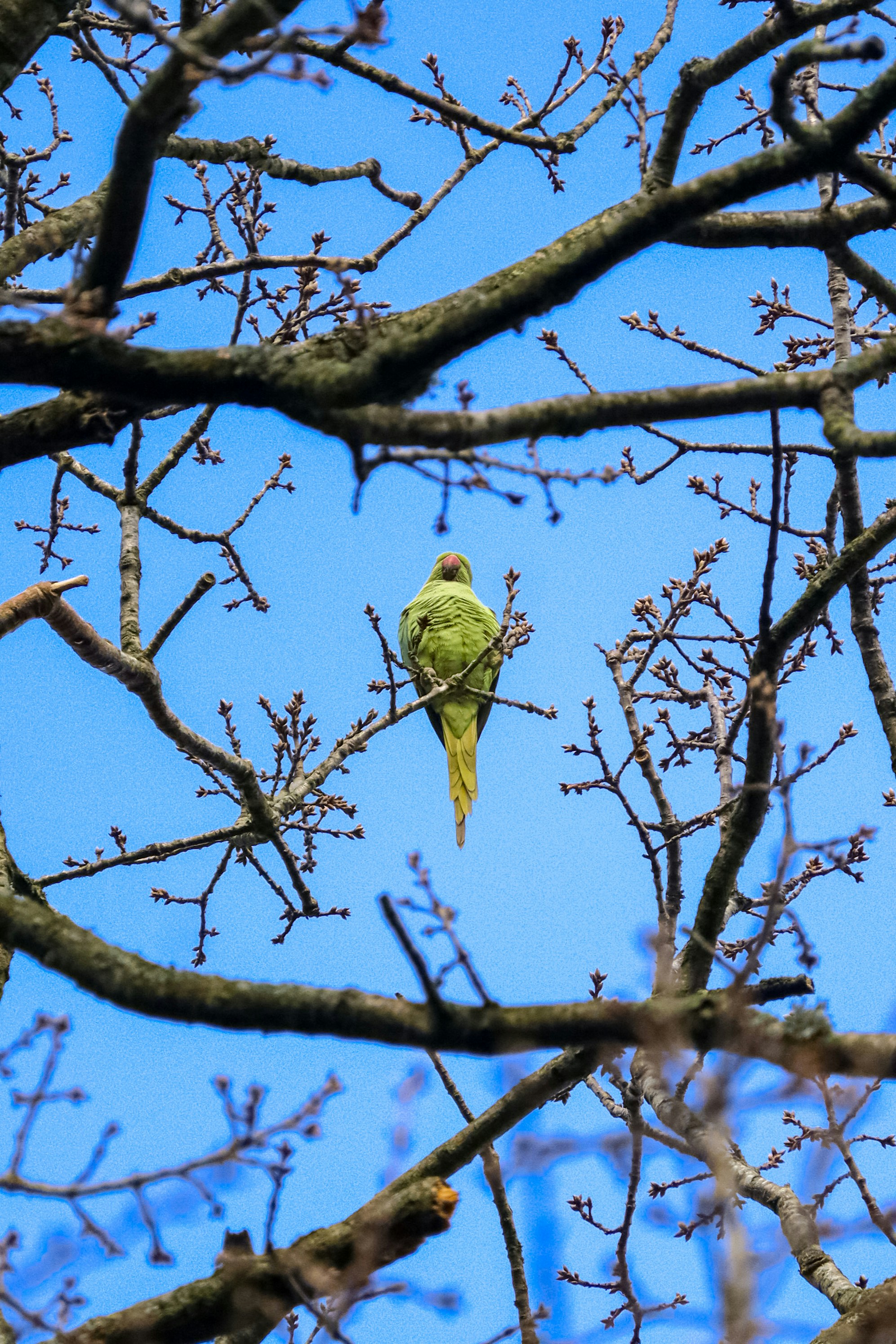 Photo by johnnygthorpe11