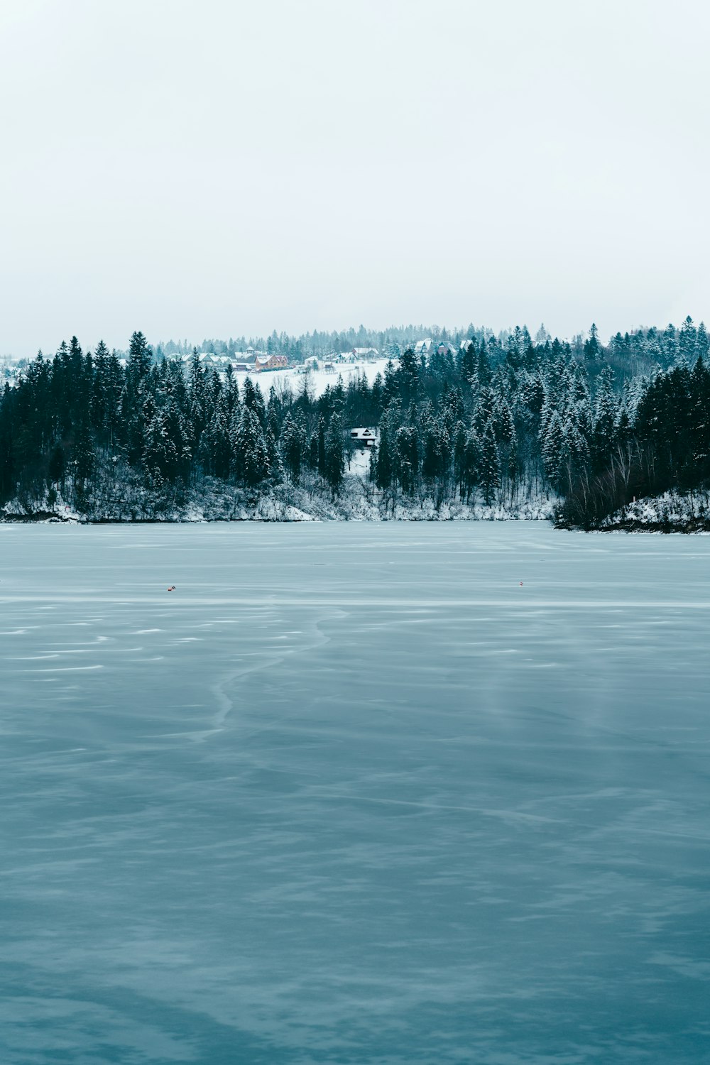 a large body of water surrounded by trees