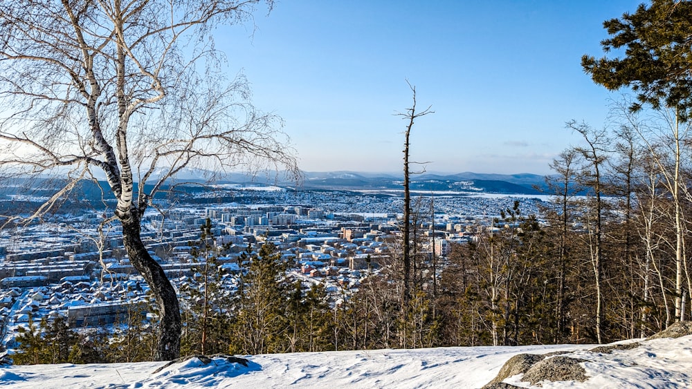 a view of a city from a snowy hill