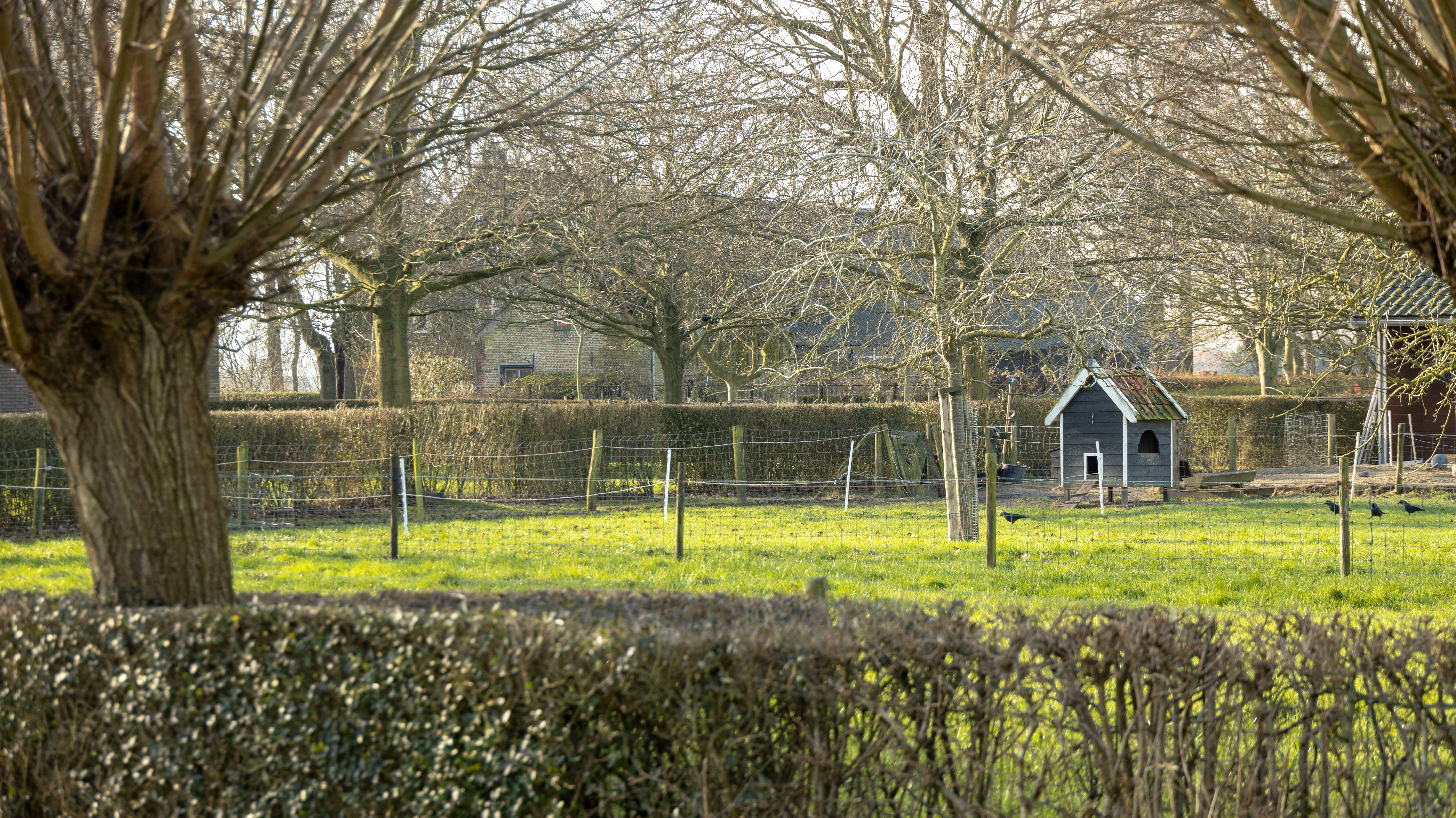 Best Siding Options for Northbridge, MA Homes