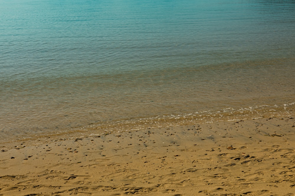 a person walking on a beach with a surfboard