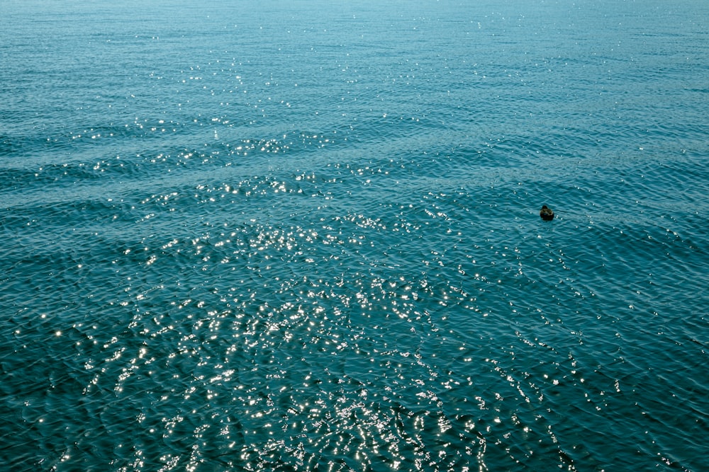 a body of water with a boat in the distance