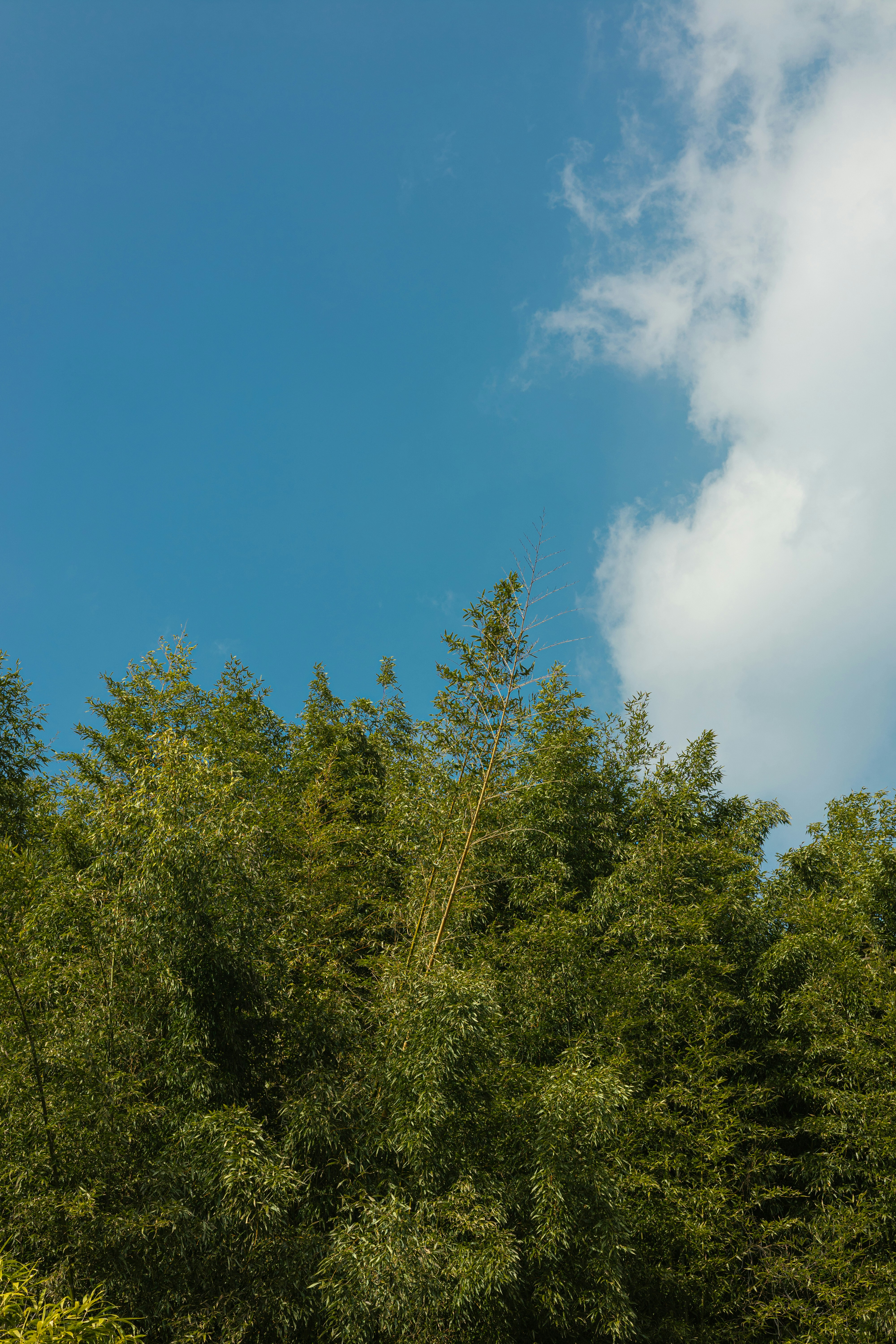 Photo by parkseongjin