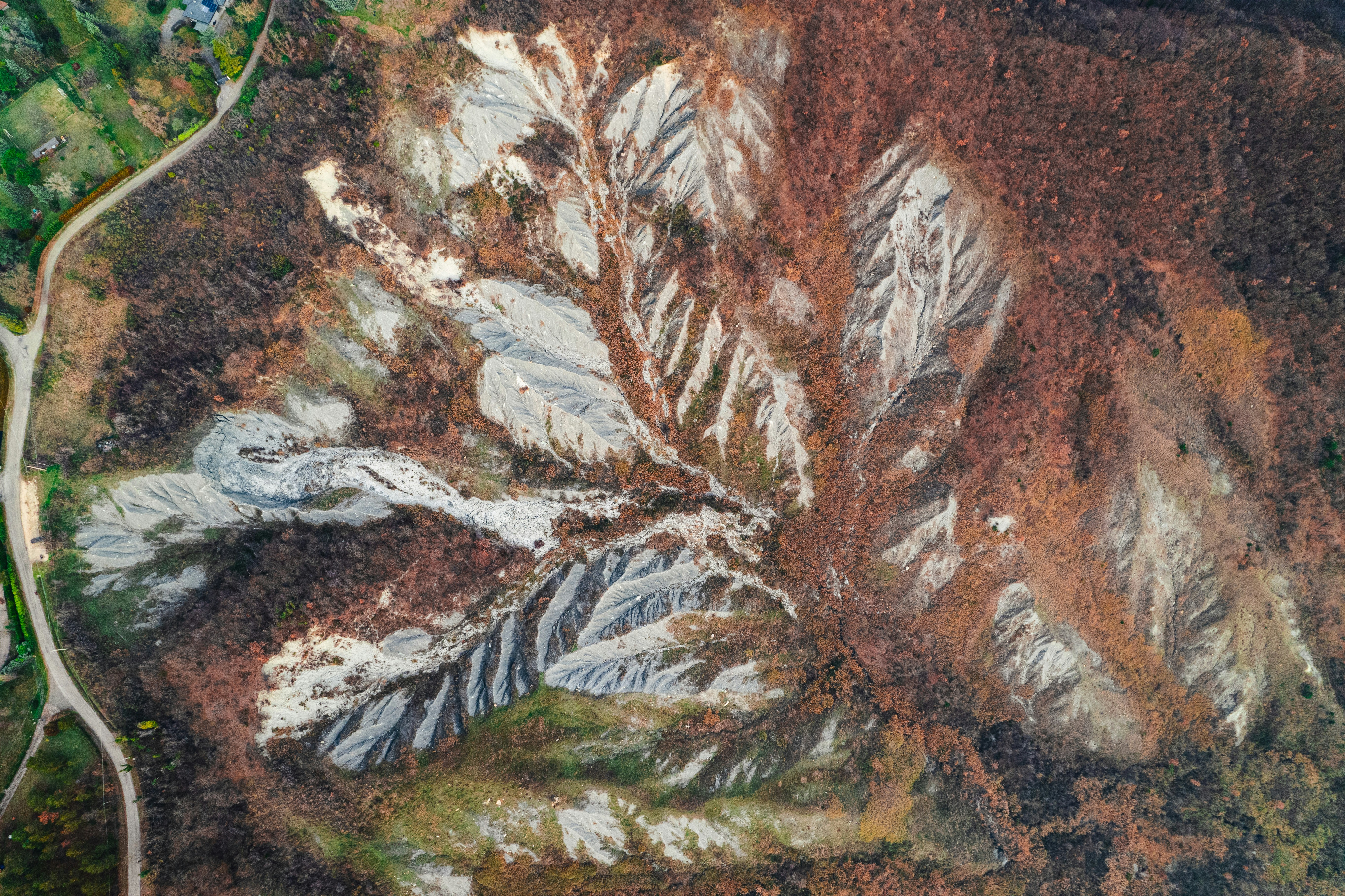Biblioteca del Dipartimento di Scienze Biologiche, Geologiche e Ambientali. Sezione di Geologia