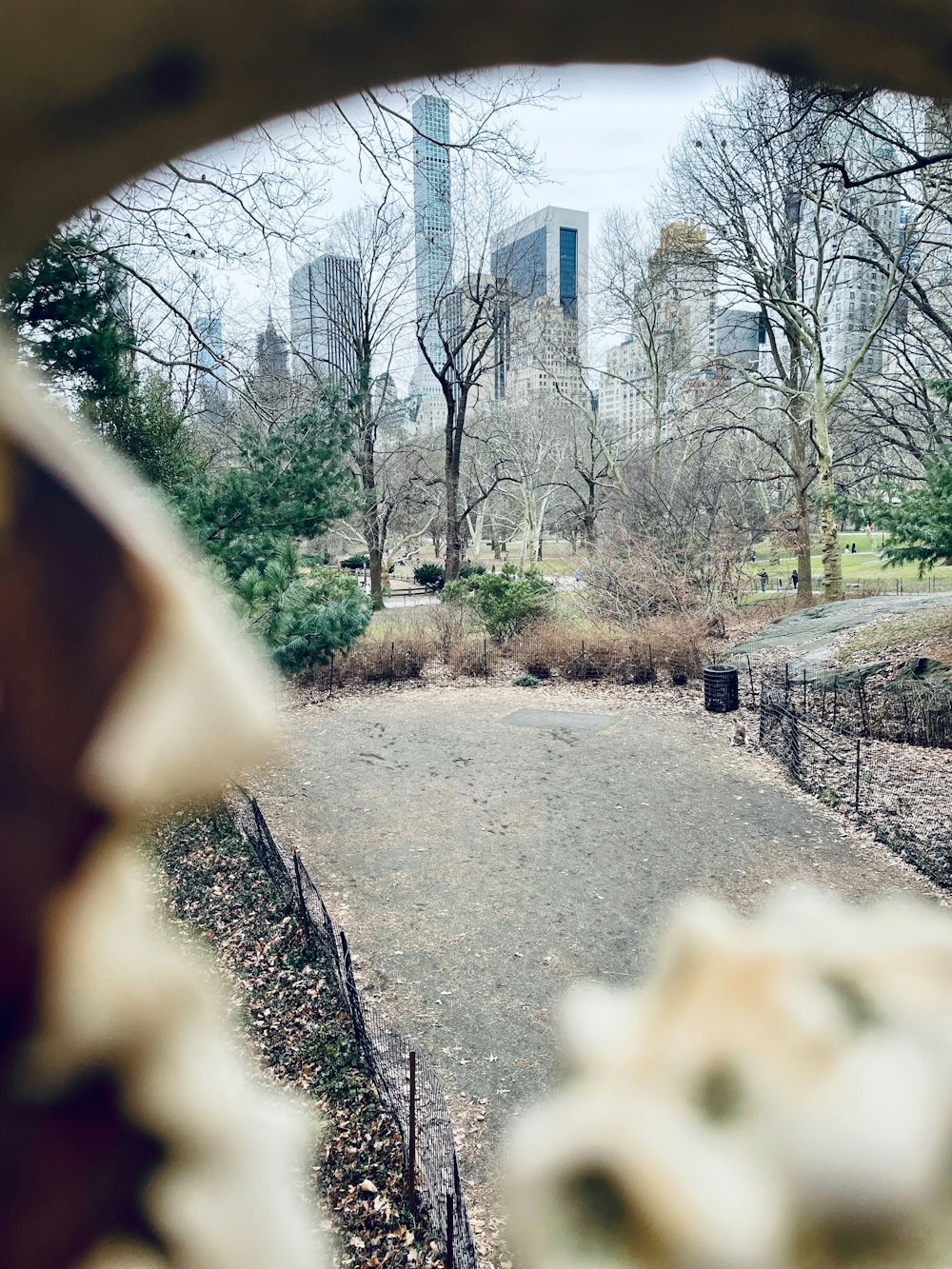 a view of a park through a hole in a fence