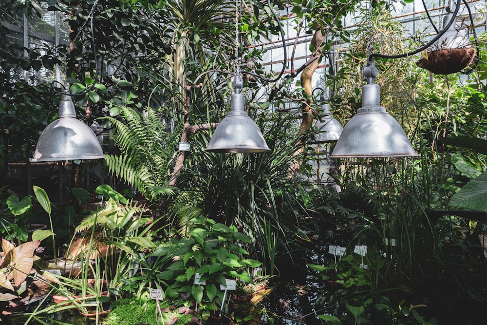 a bunch of lights that are in a garden