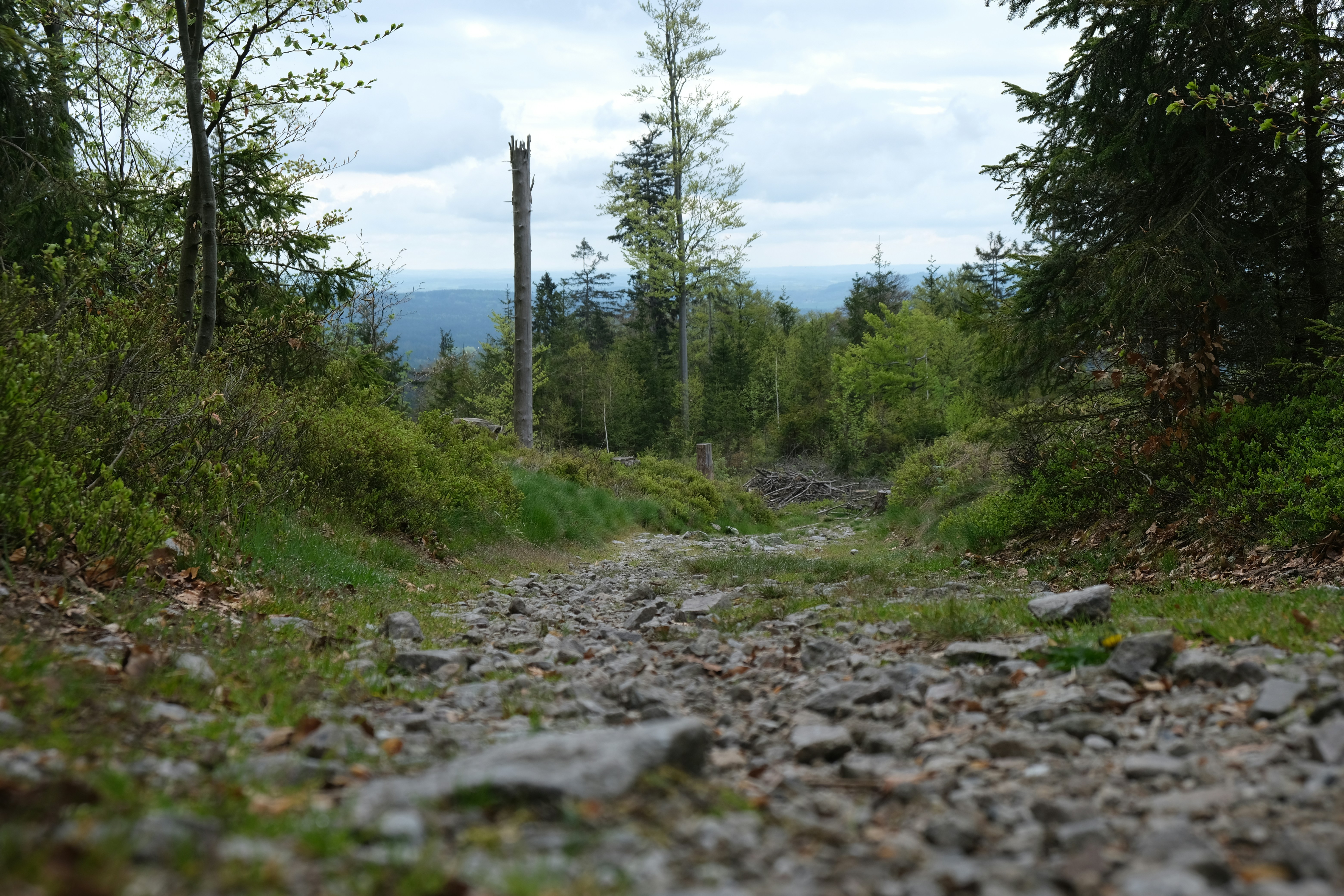 Photo by machcz