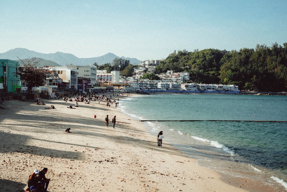 a group of people walking along a beach next to the ocean