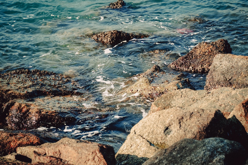 a rocky shore with a body of water and rocks