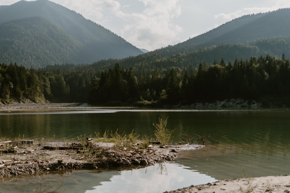 a body of water surrounded by mountains and trees