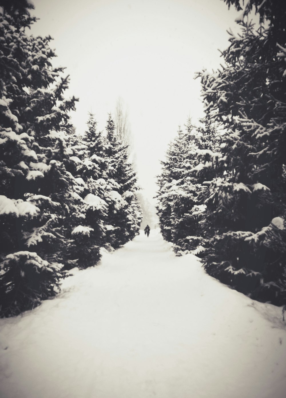 a person walking down a snow covered road