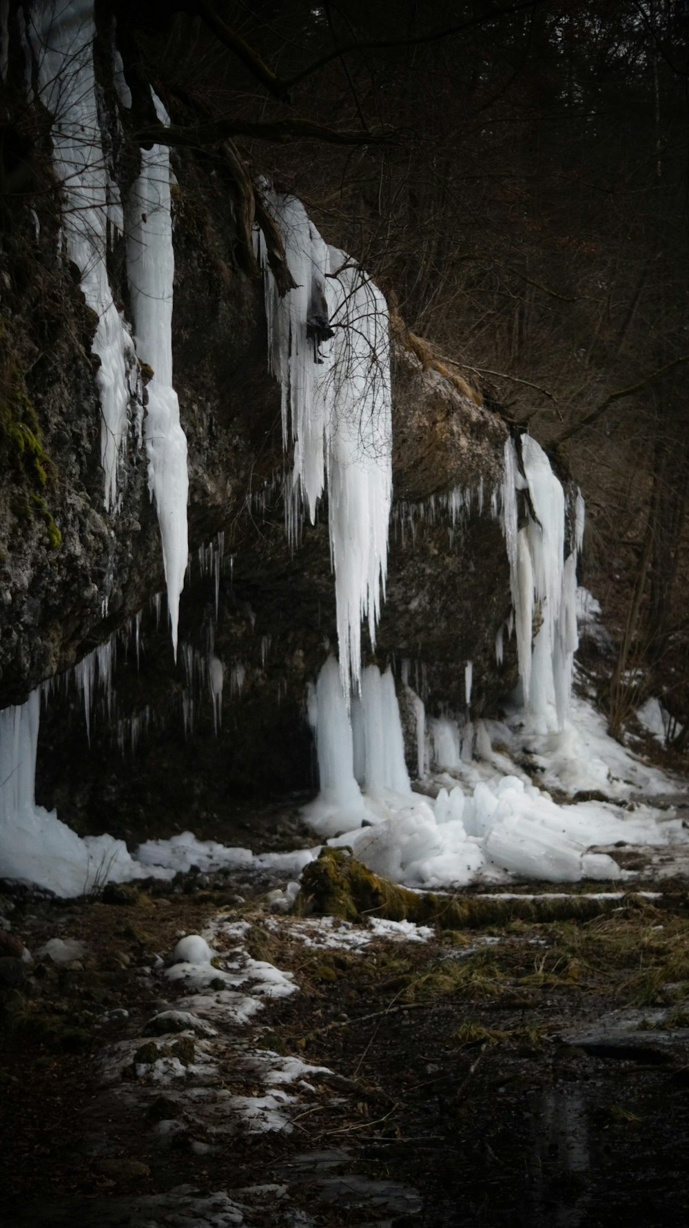 eine Gruppe von Eiszapfen, die an der Seite einer Klippe hängen