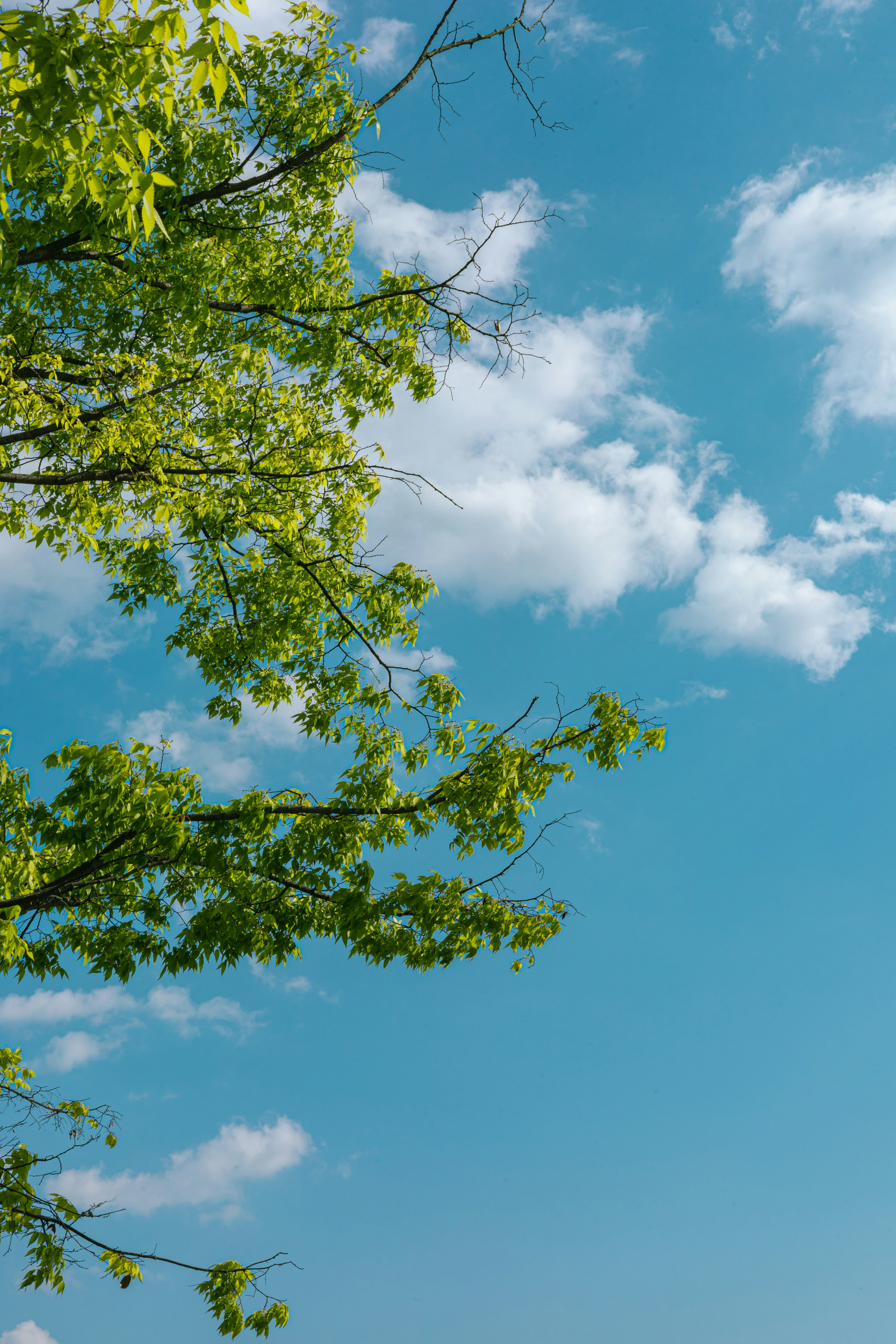 Photo by parkseongjin