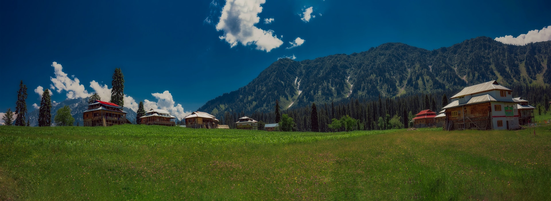 a green field with houses in the background