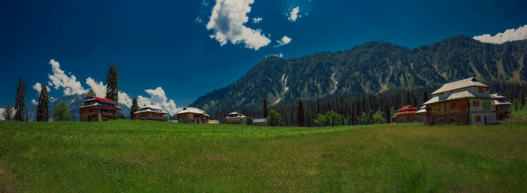 a green field with houses in the background,