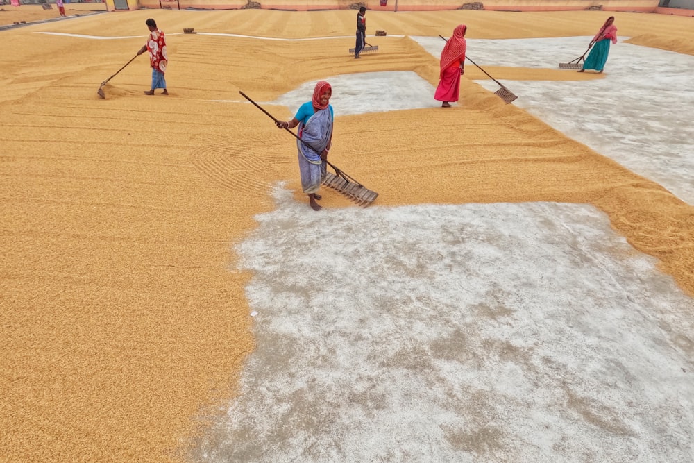 a group of people with brooms in a field