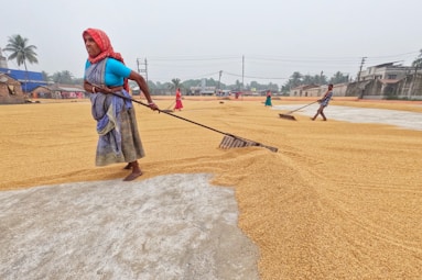 a woman in a blue shirt and a broom