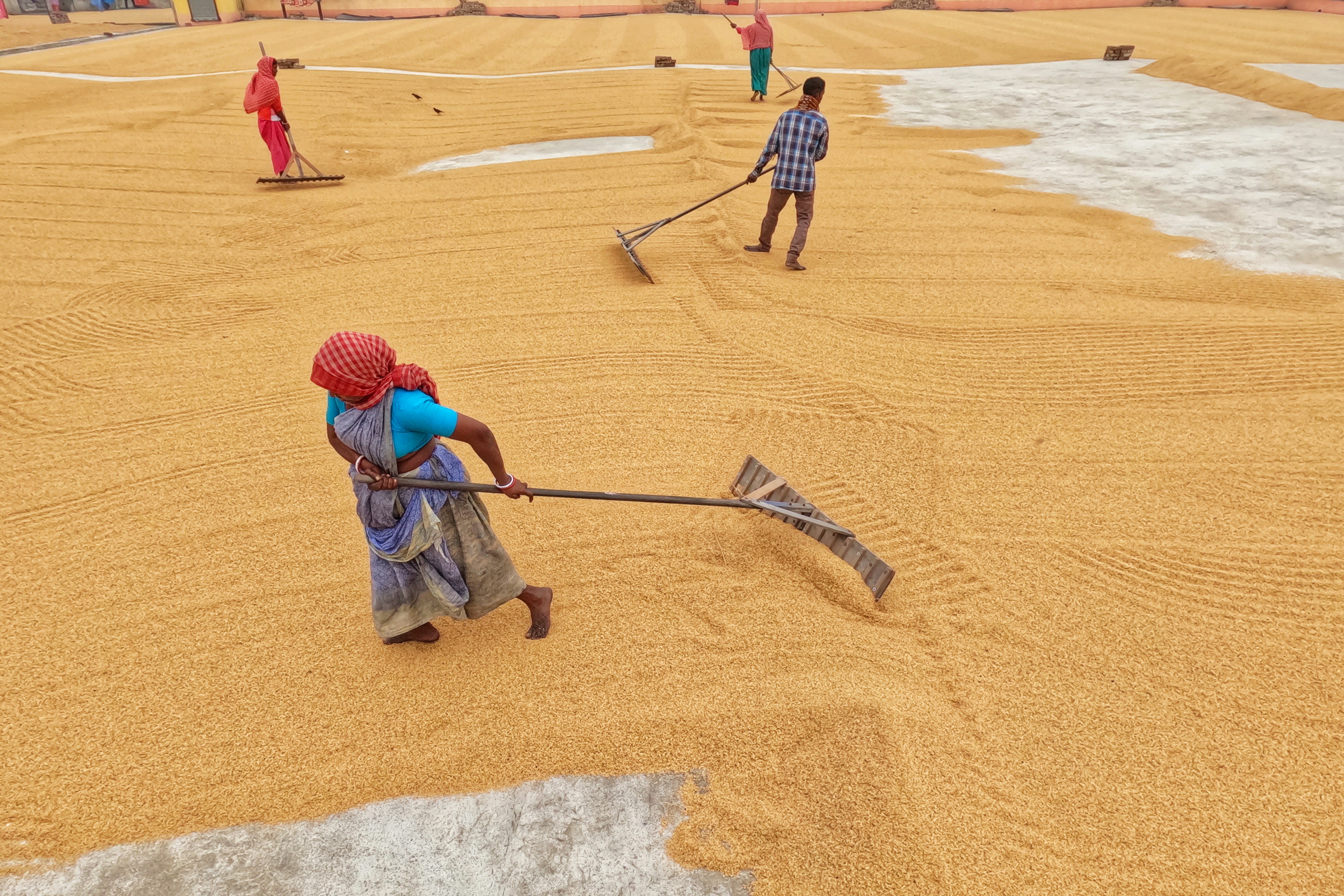 a group of people are working in a field
