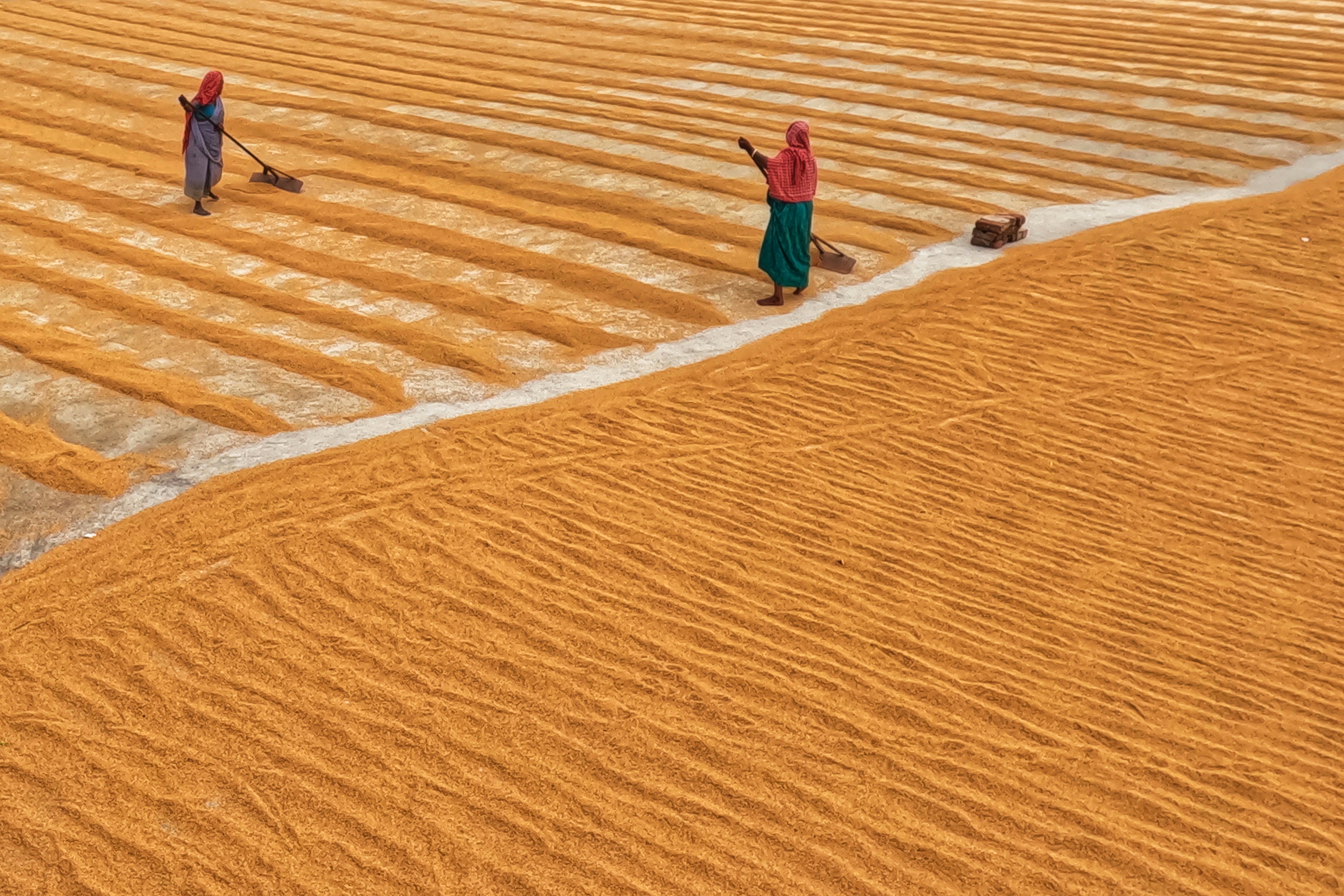 Couple working in desert field