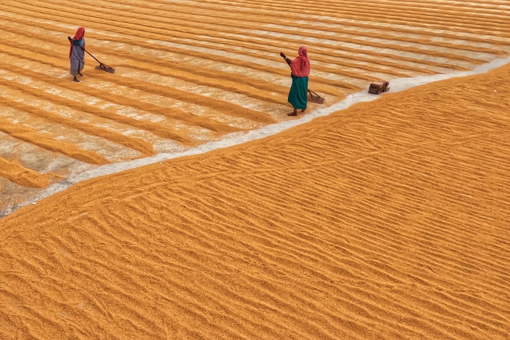 a couple of people are standing in a field