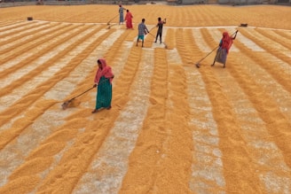 a group of people standing on top of a field