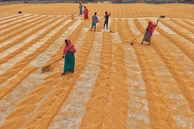 a group of people standing on top of a field