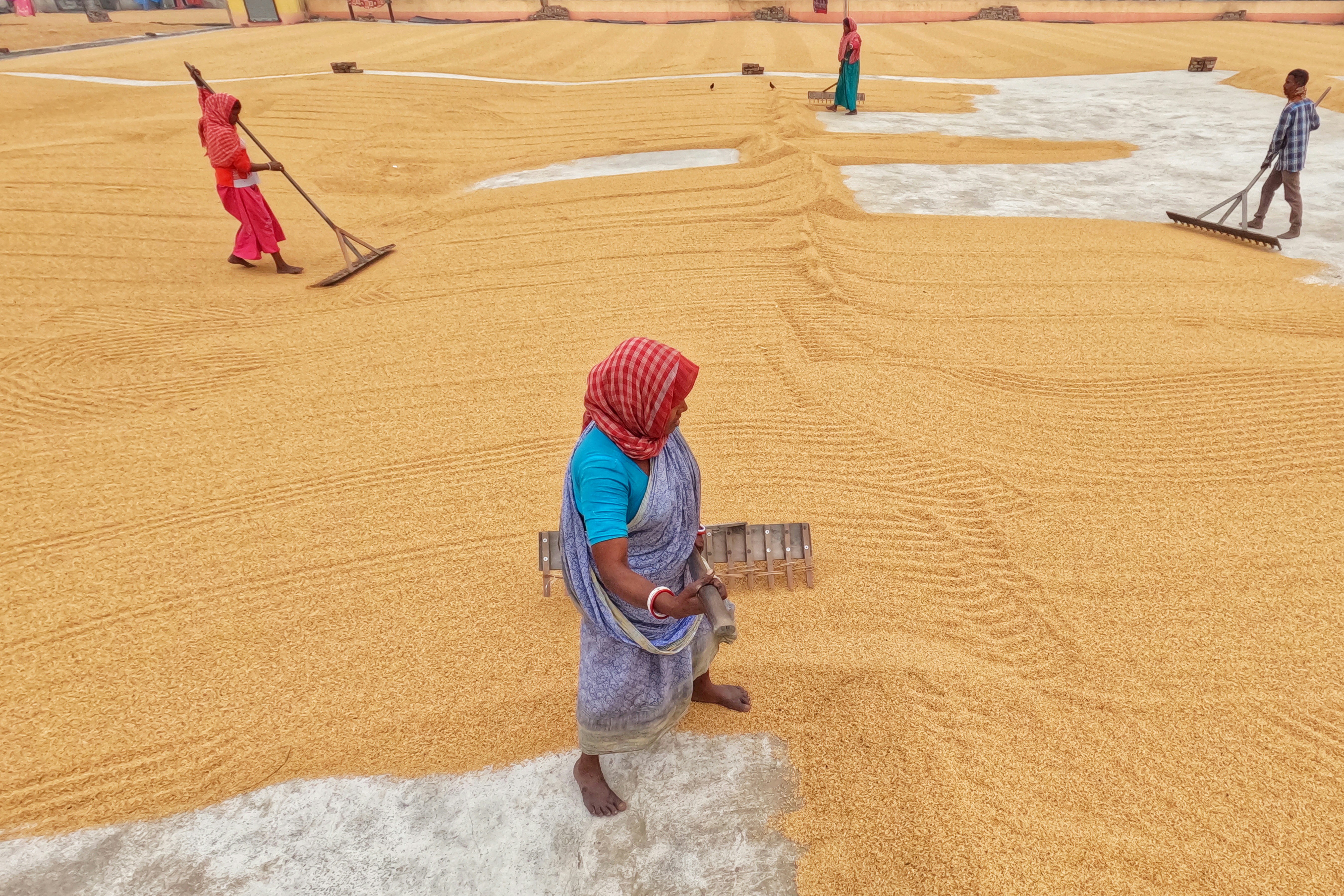 Photo by dibakar16roy