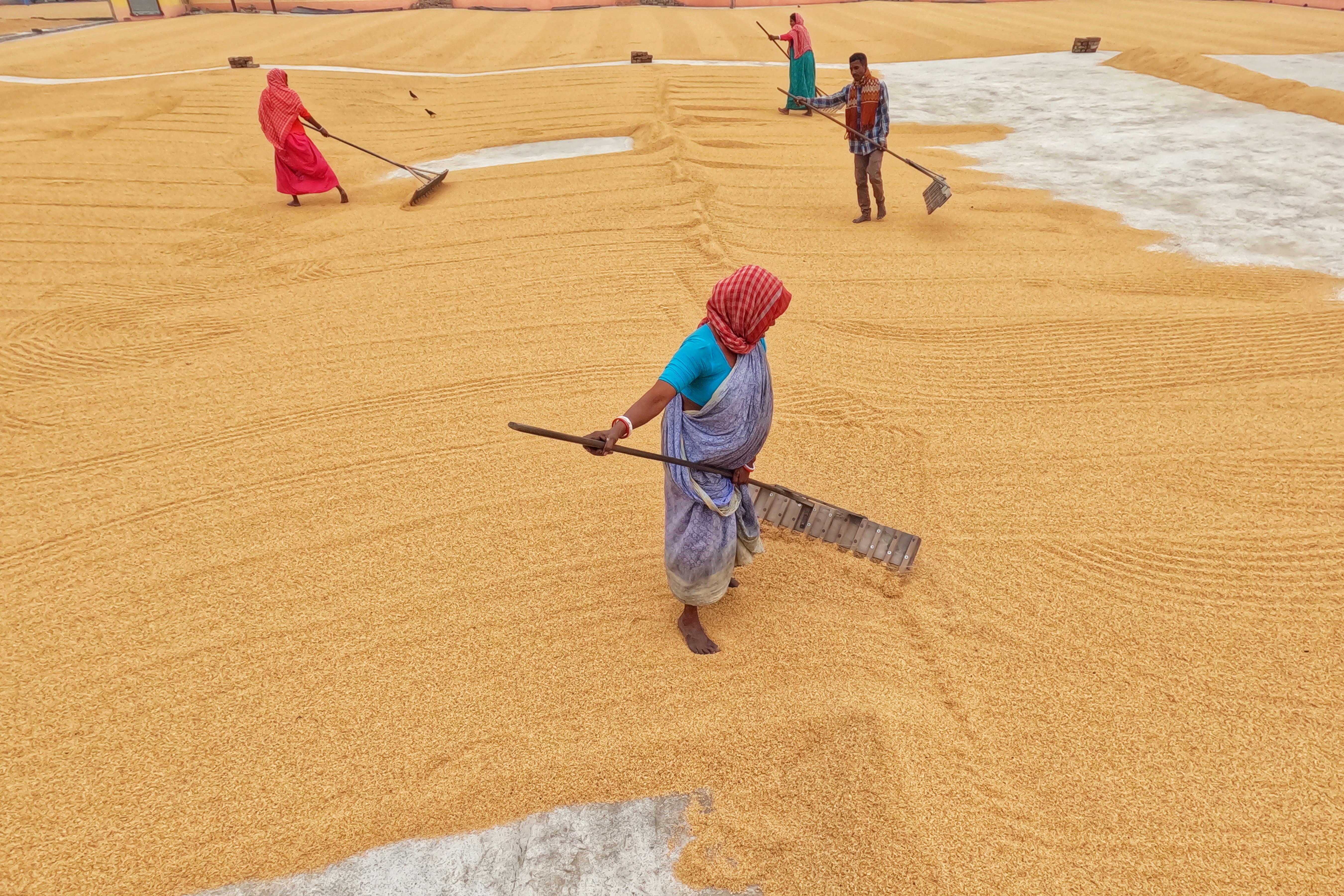 Photo by dibakar16roy